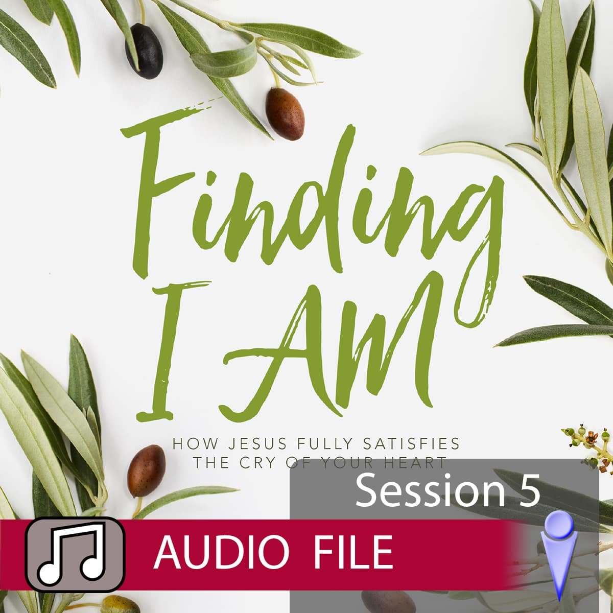 Finding I AM - Audio Session 5 | Lifeway
