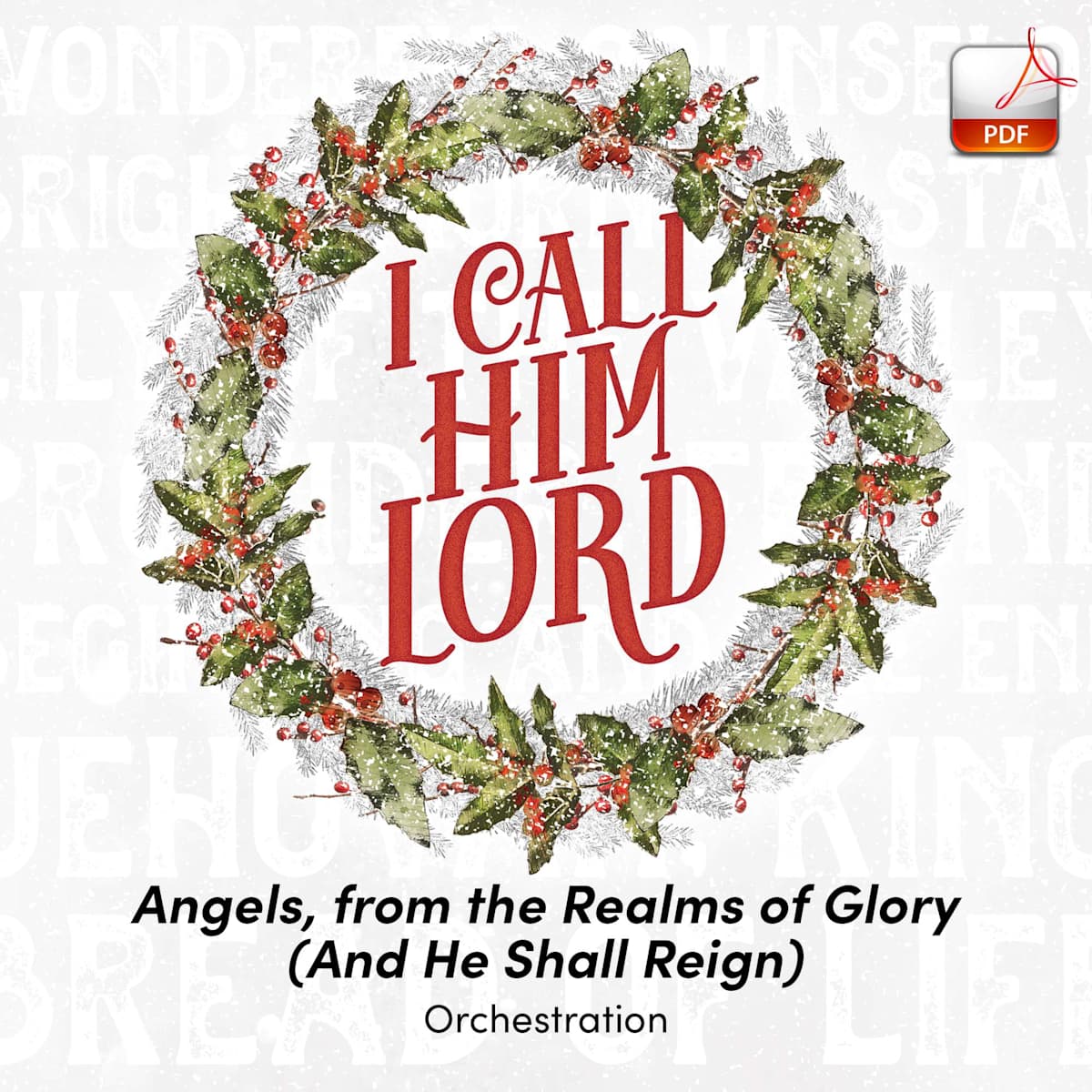 product display 1 for undefined