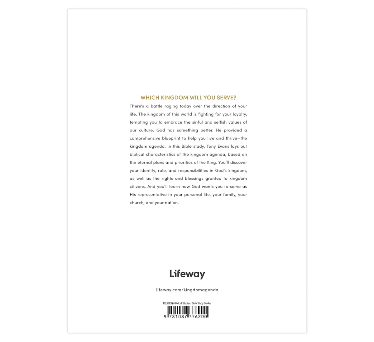 product display 5 for undefined