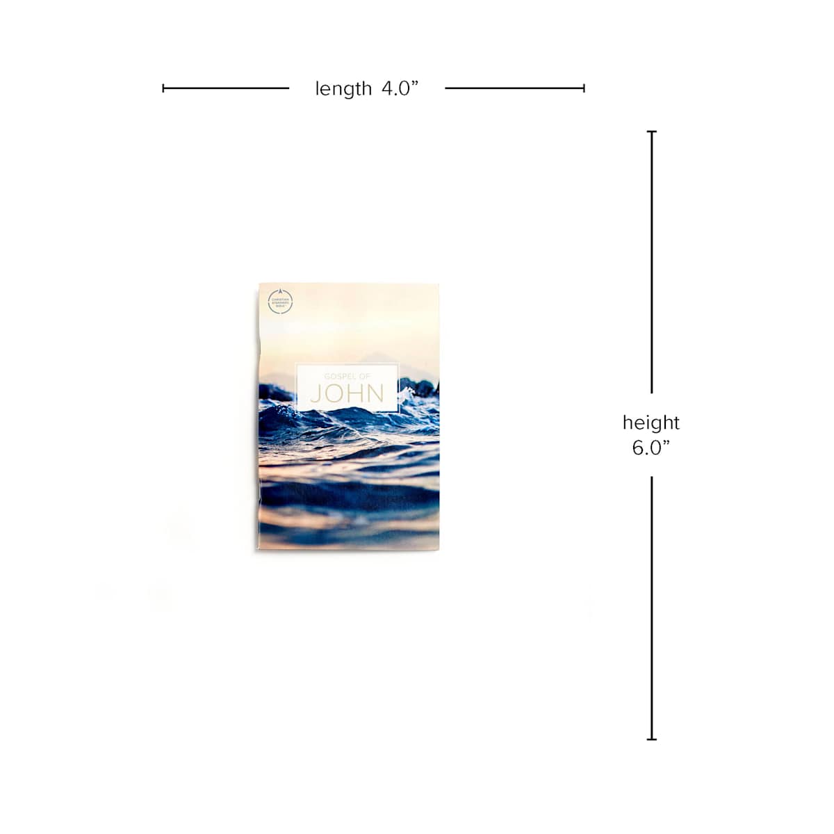 product display 4 for undefined