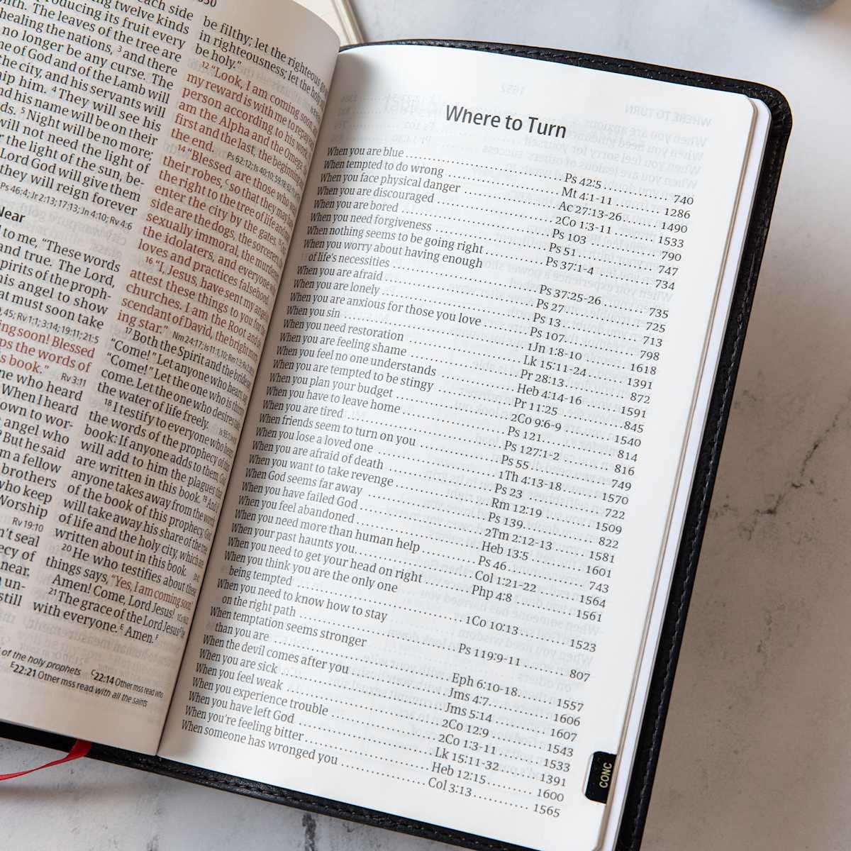 product display 6 for undefined