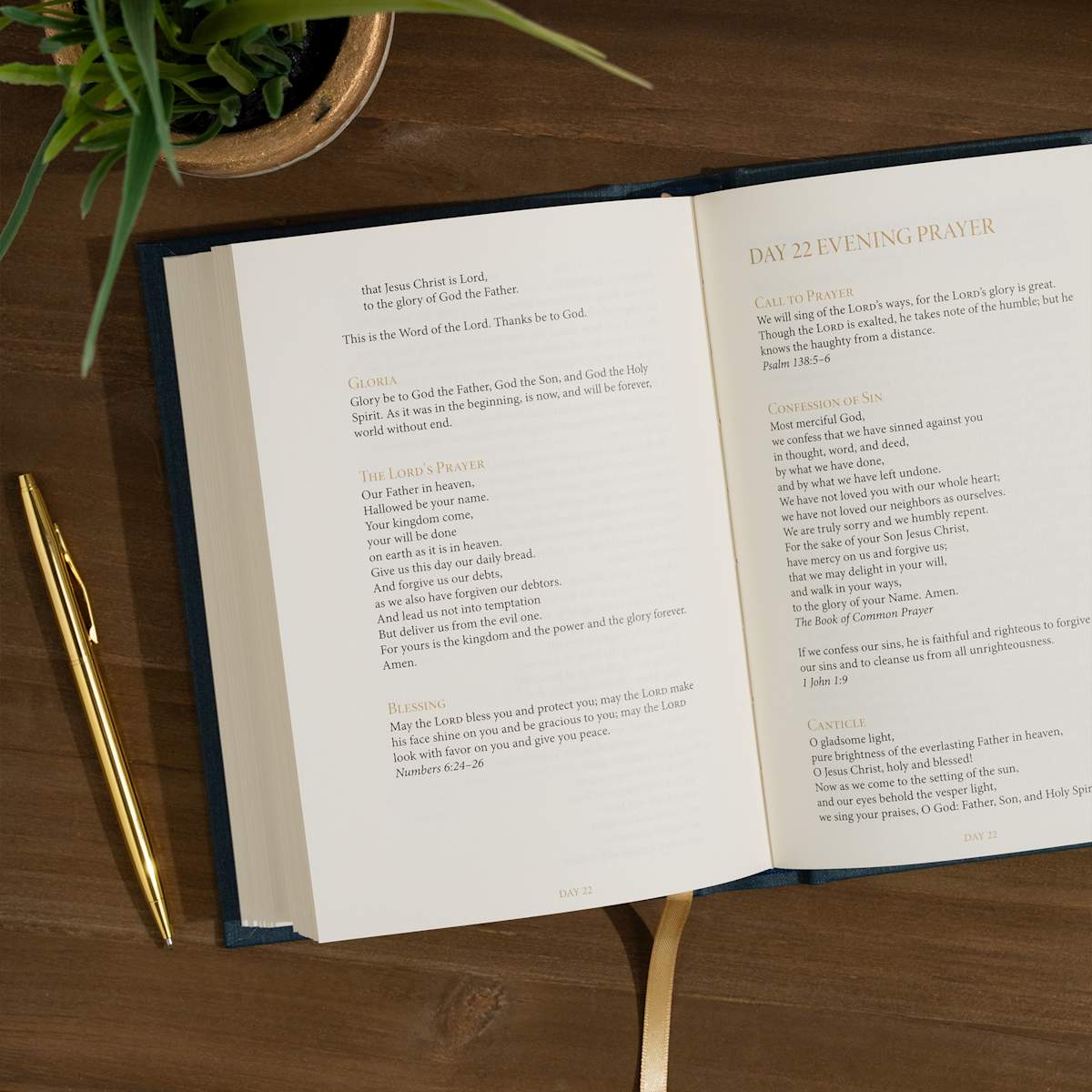 product display 6 for undefined