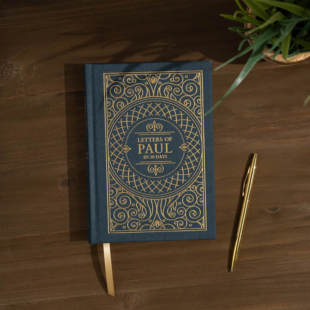 product display 11 for undefined