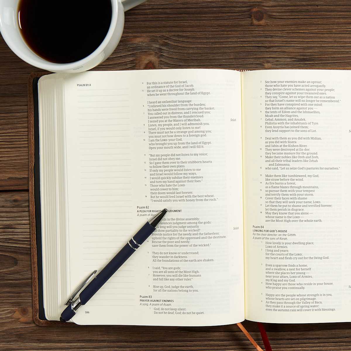 product display 5 for undefined