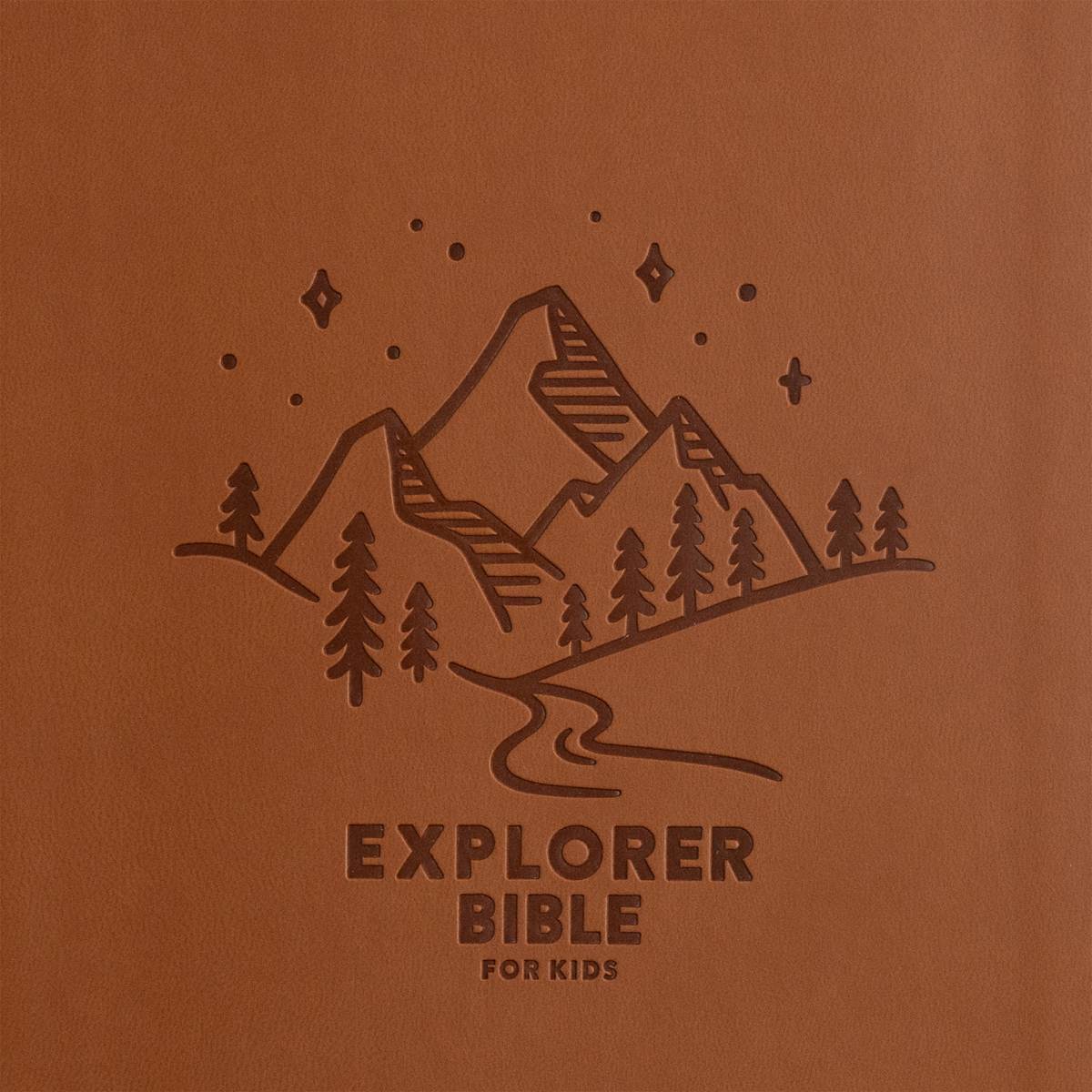 KJV Explorer Bible for Kids, Brown LeatherTouch | Lifeway