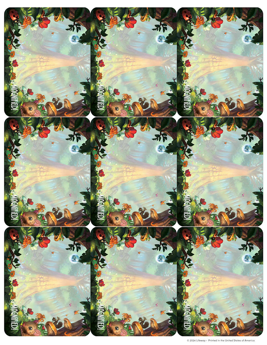product display 1 for undefined