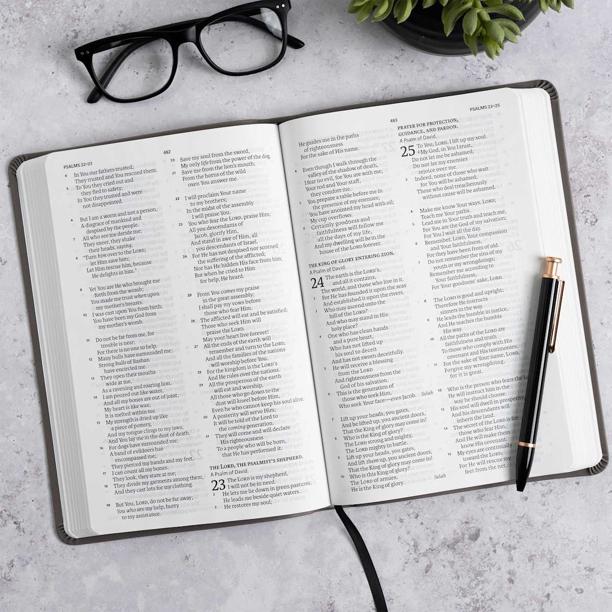 product display 4 for undefined