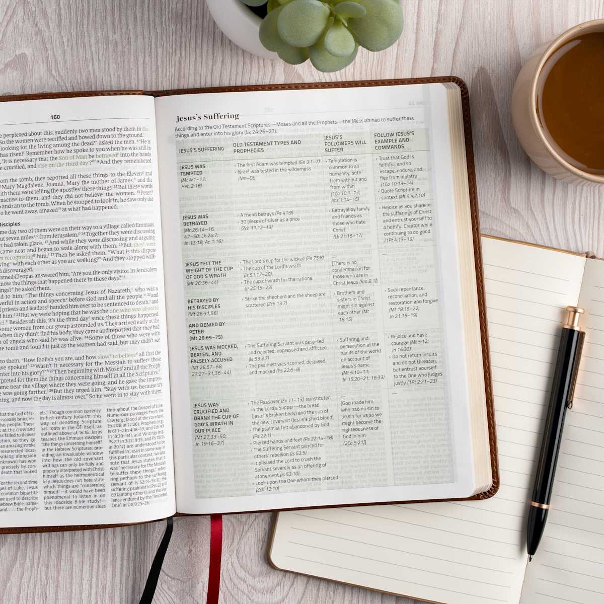 product display 6 for undefined