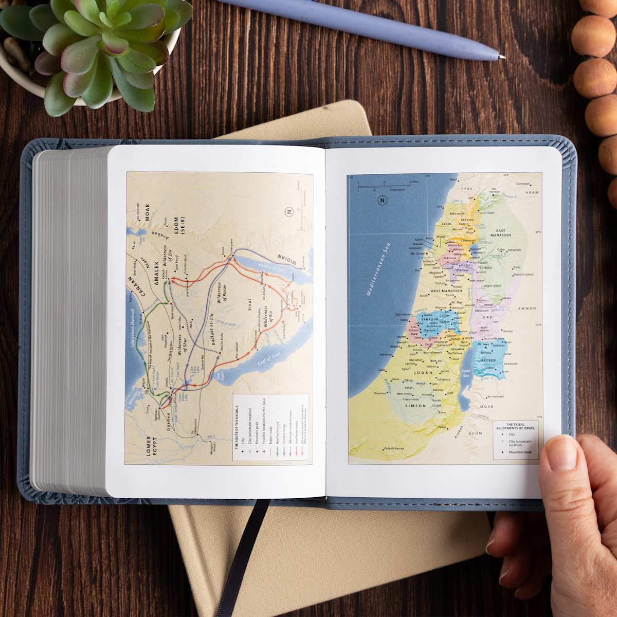 Pantalla del producto 8 para undefined