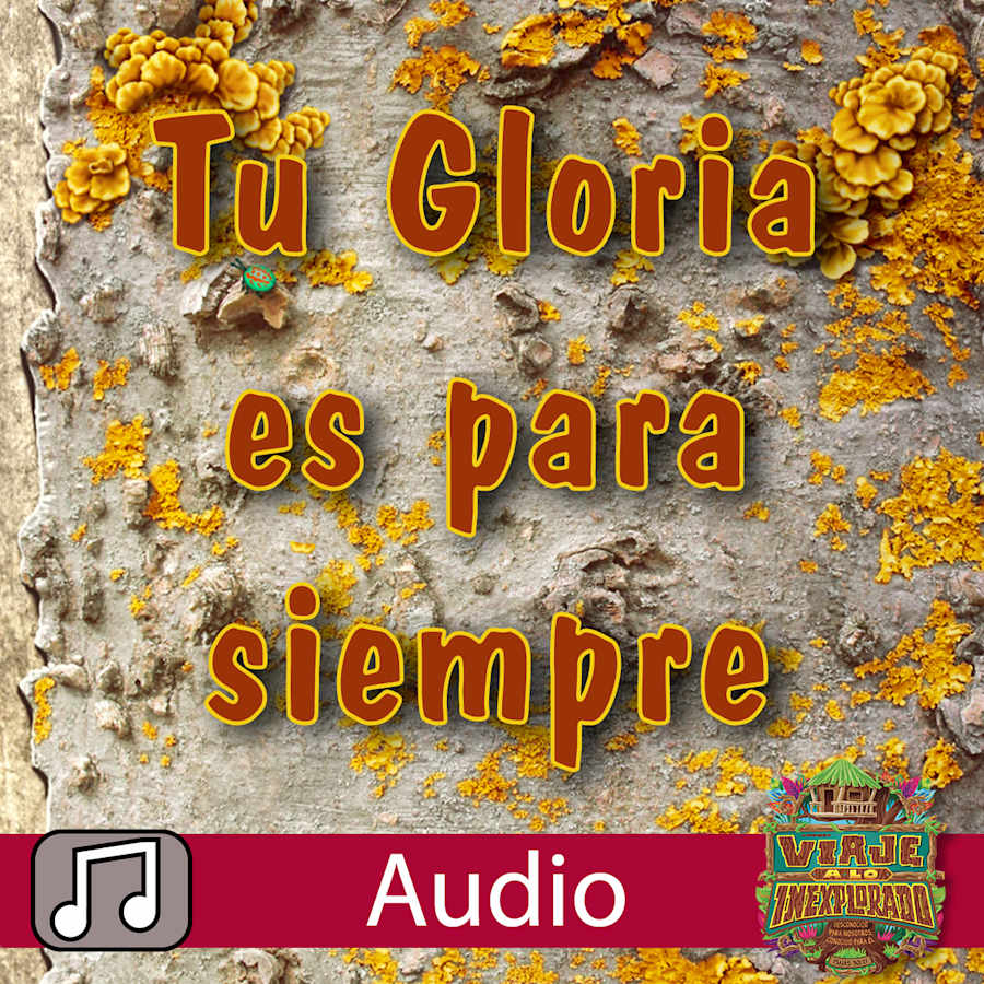 Pantalla del producto 1 para undefined