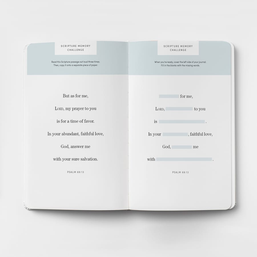 product display 4 for undefined
