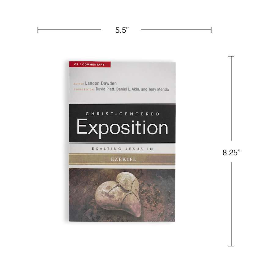 product display 8 for undefined