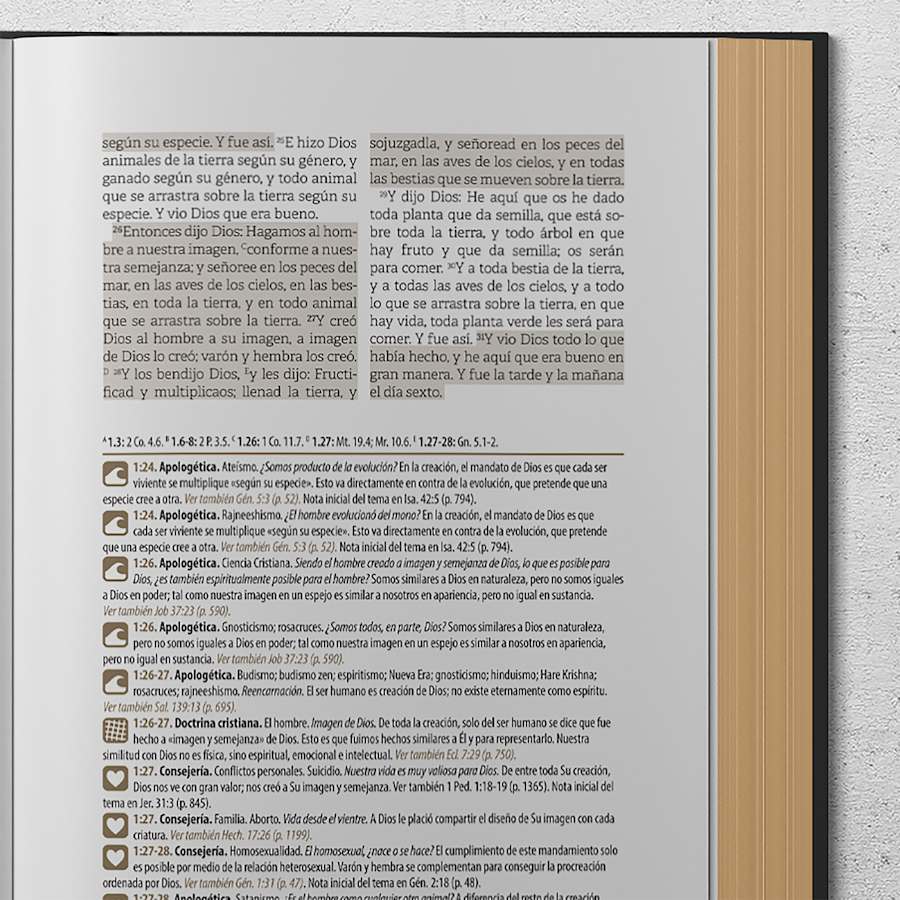 product display 16 for undefined