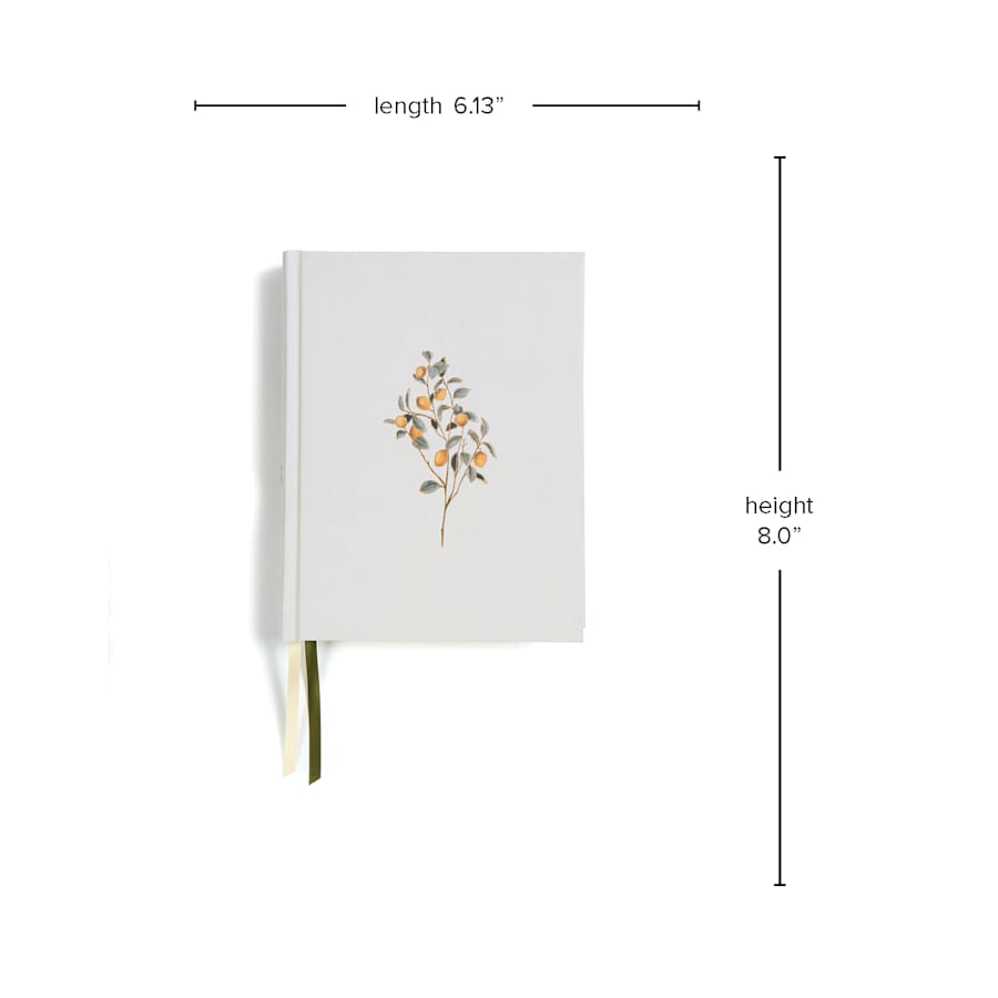 product display 8 for undefined