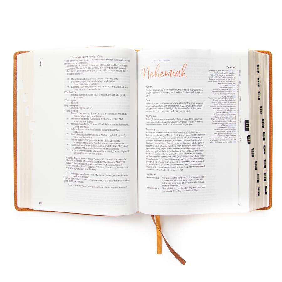 product display 4 for undefined