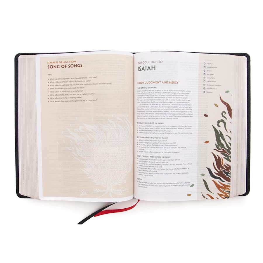 product display 4 for undefined