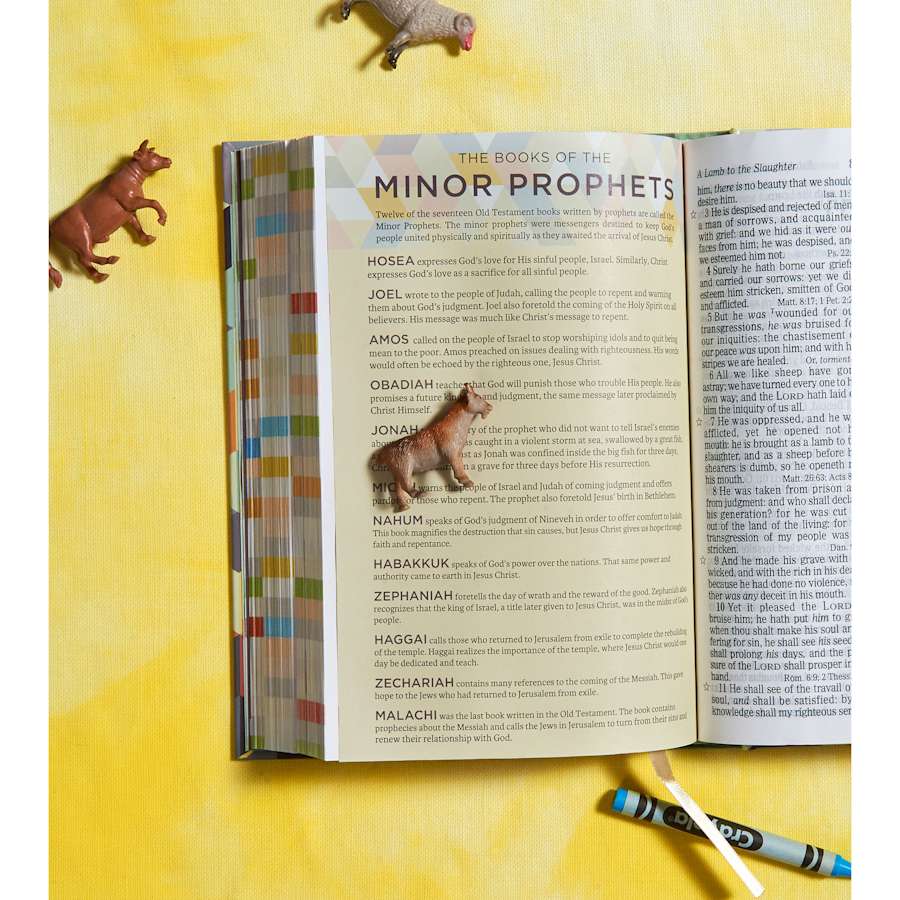 product display 4 for undefined