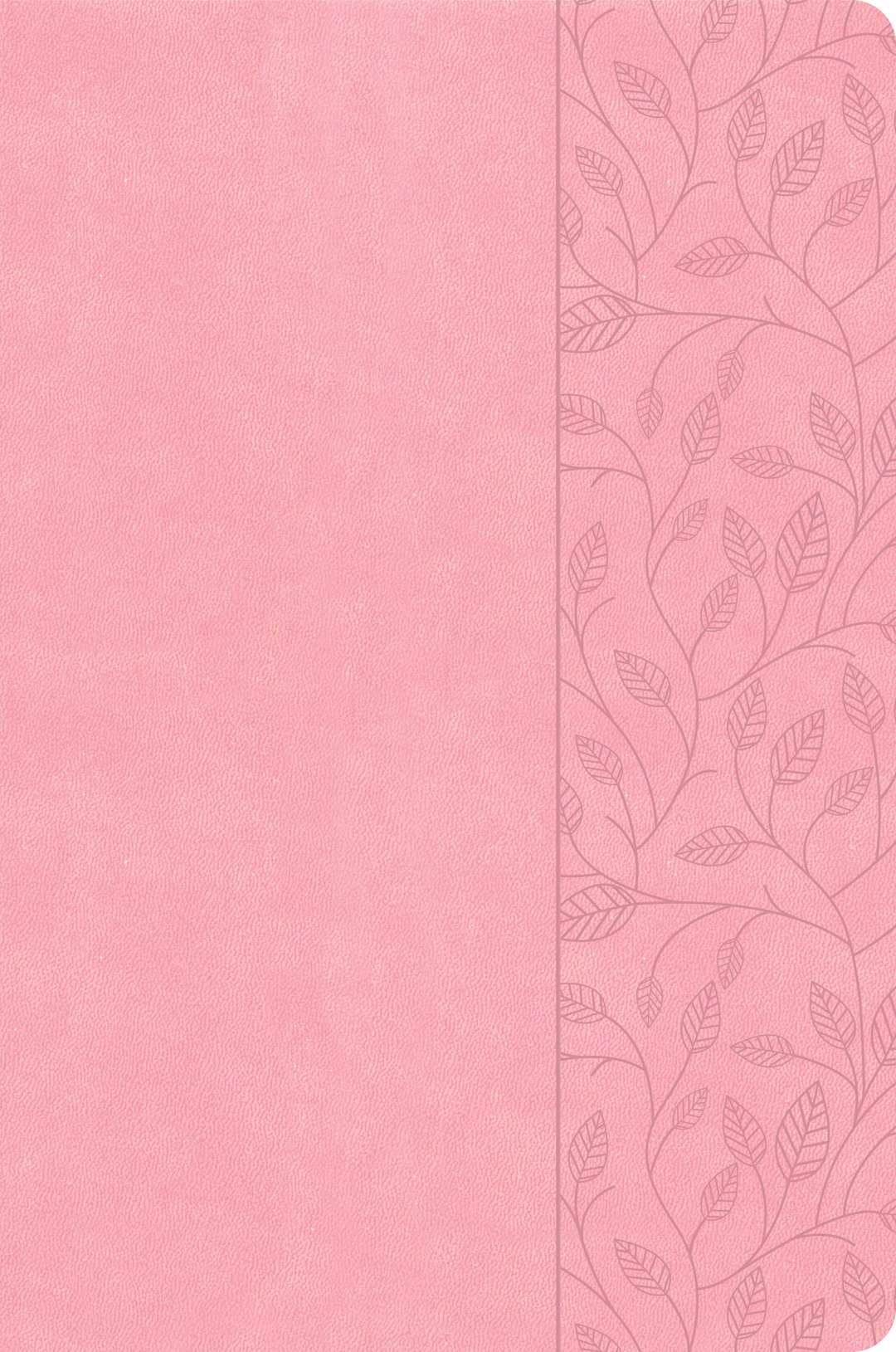 CSB Large Print Thinline Bible