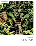 eBook - Genesis - Storyteller - Bible Study Book