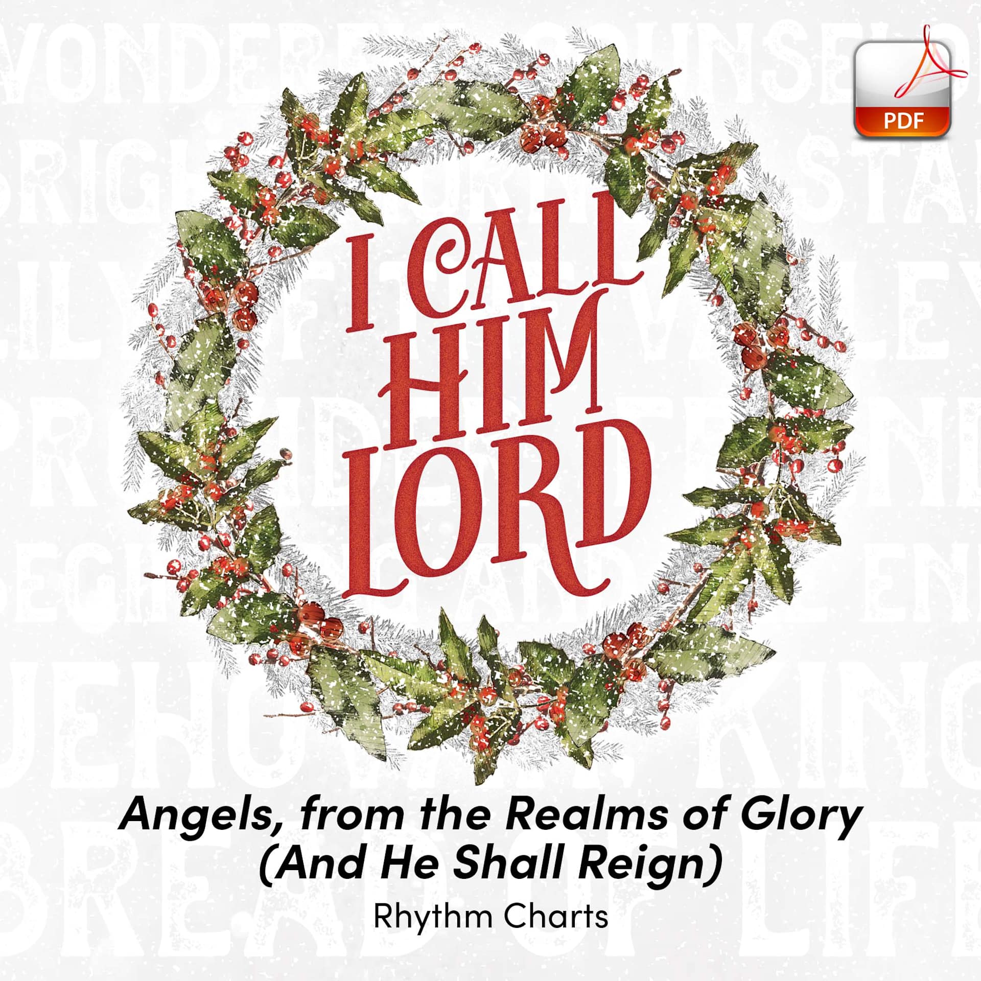 product display 1 for undefined