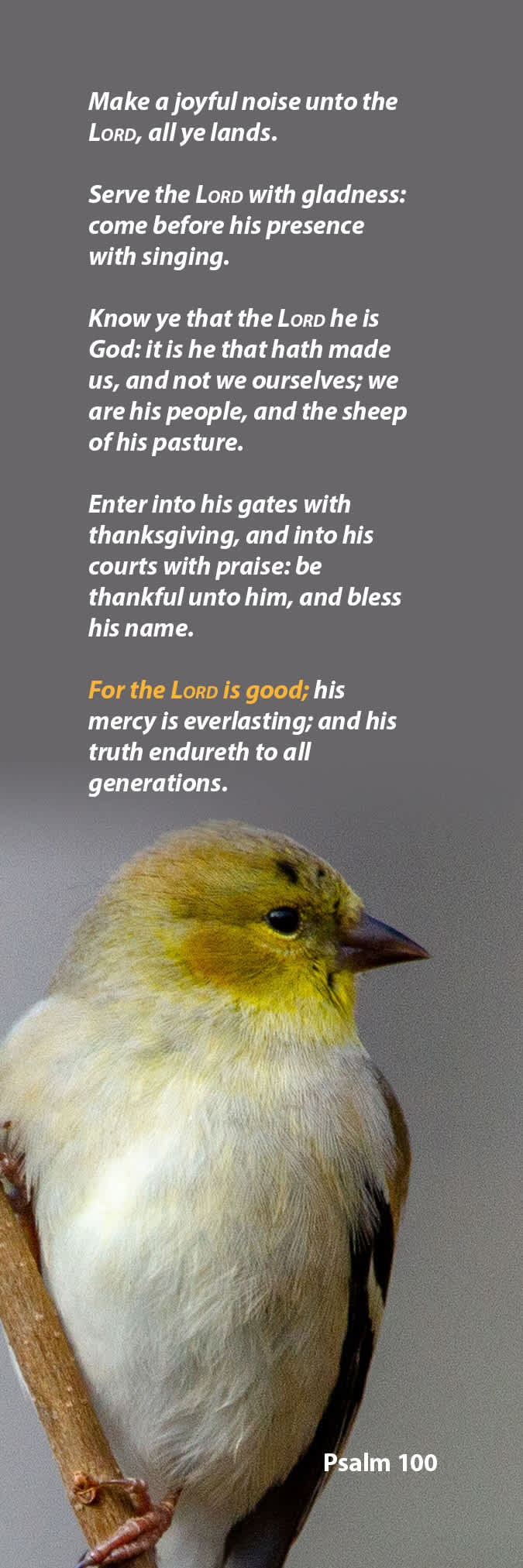 product display 1 for undefined