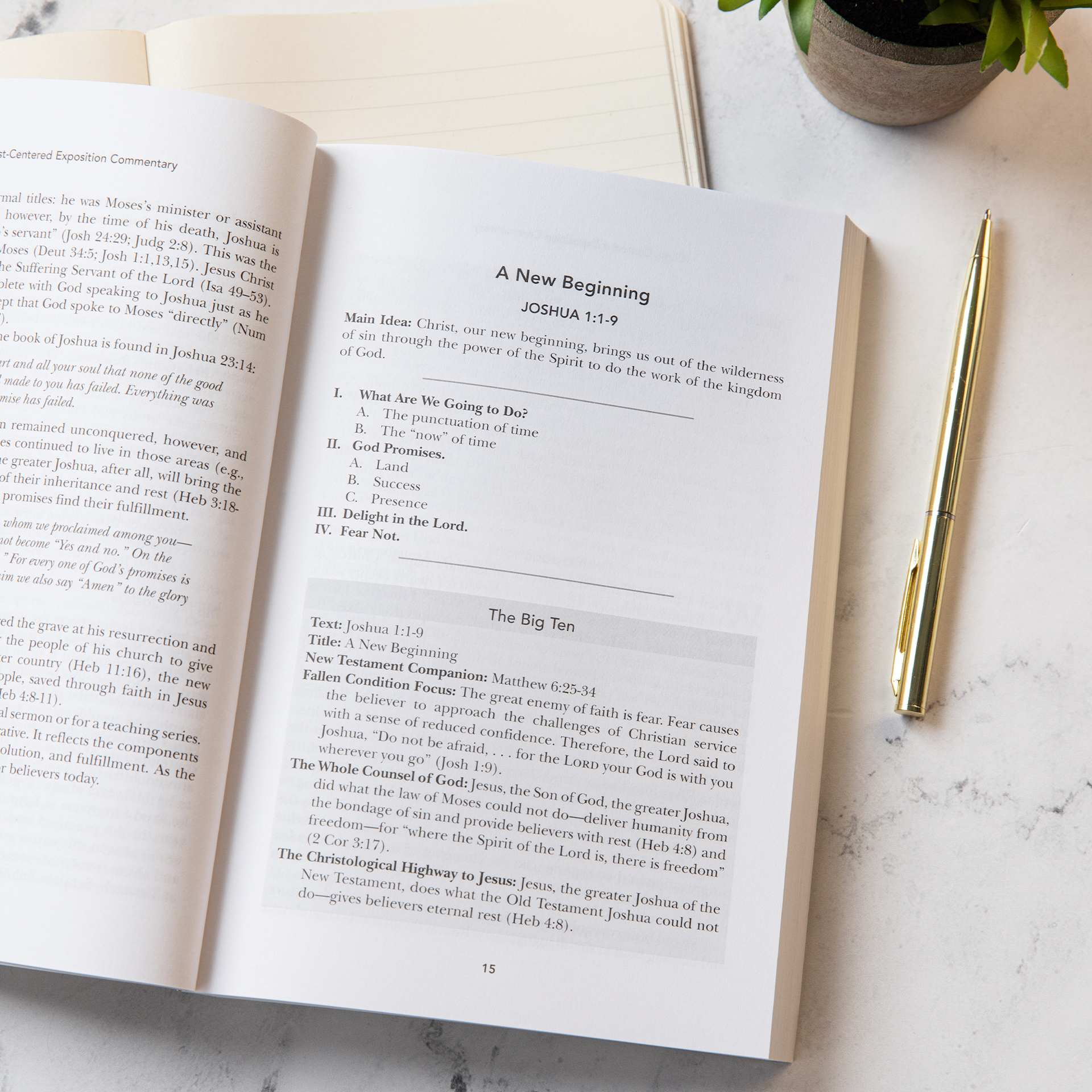 product display 4 for undefined