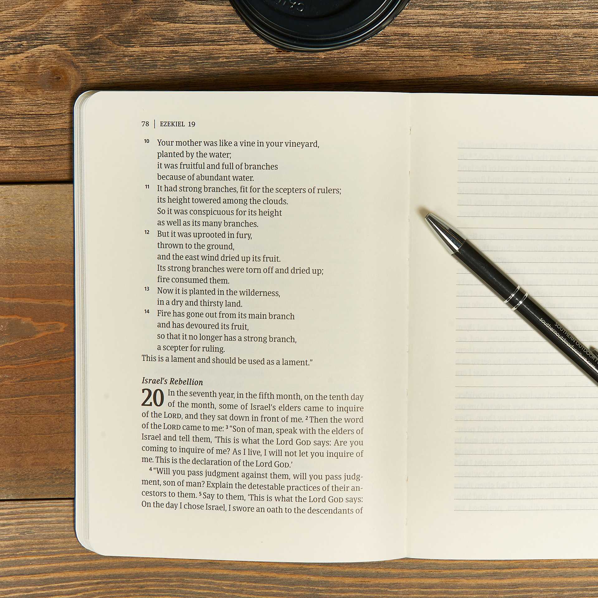 product display 5 for undefined