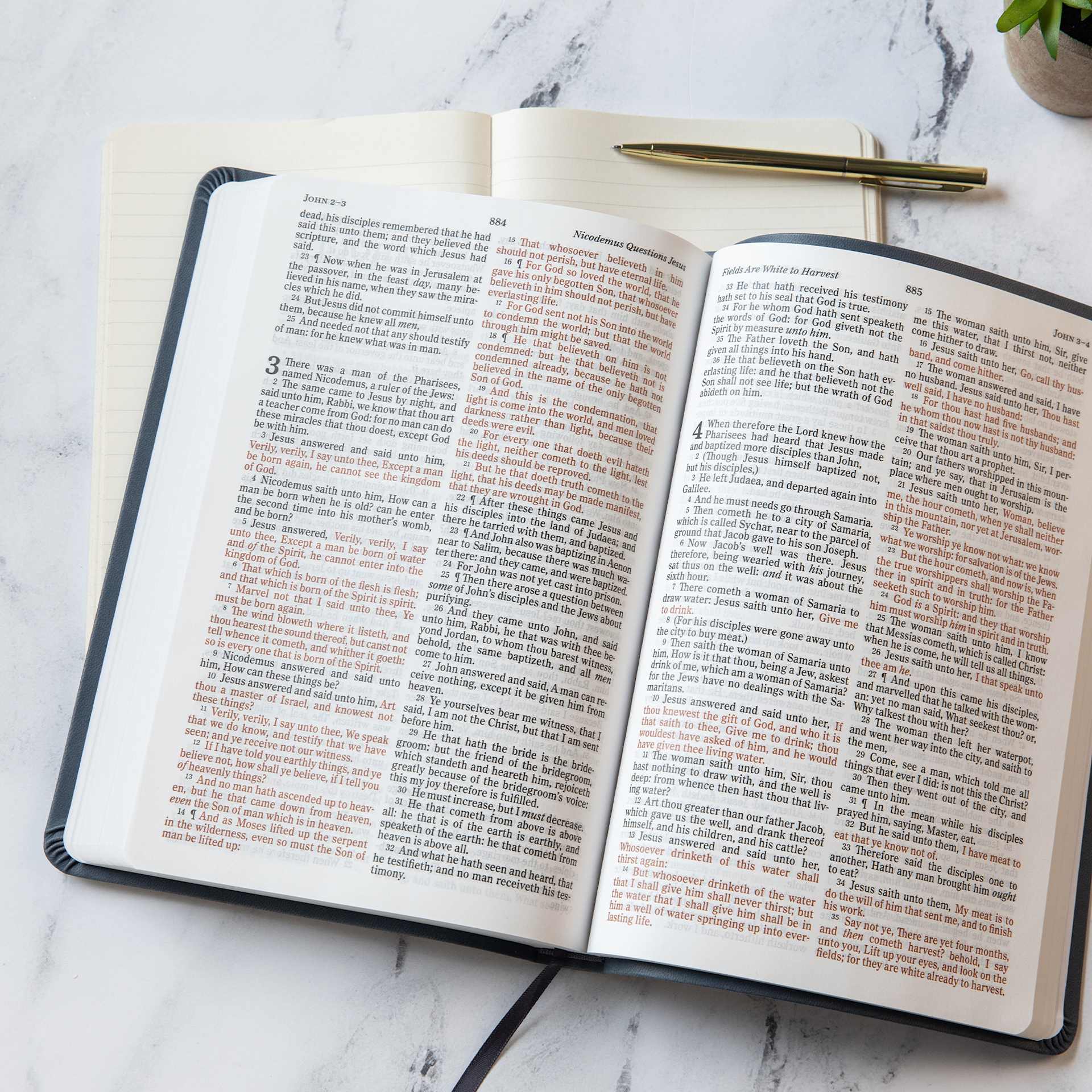 product display 5 for undefined