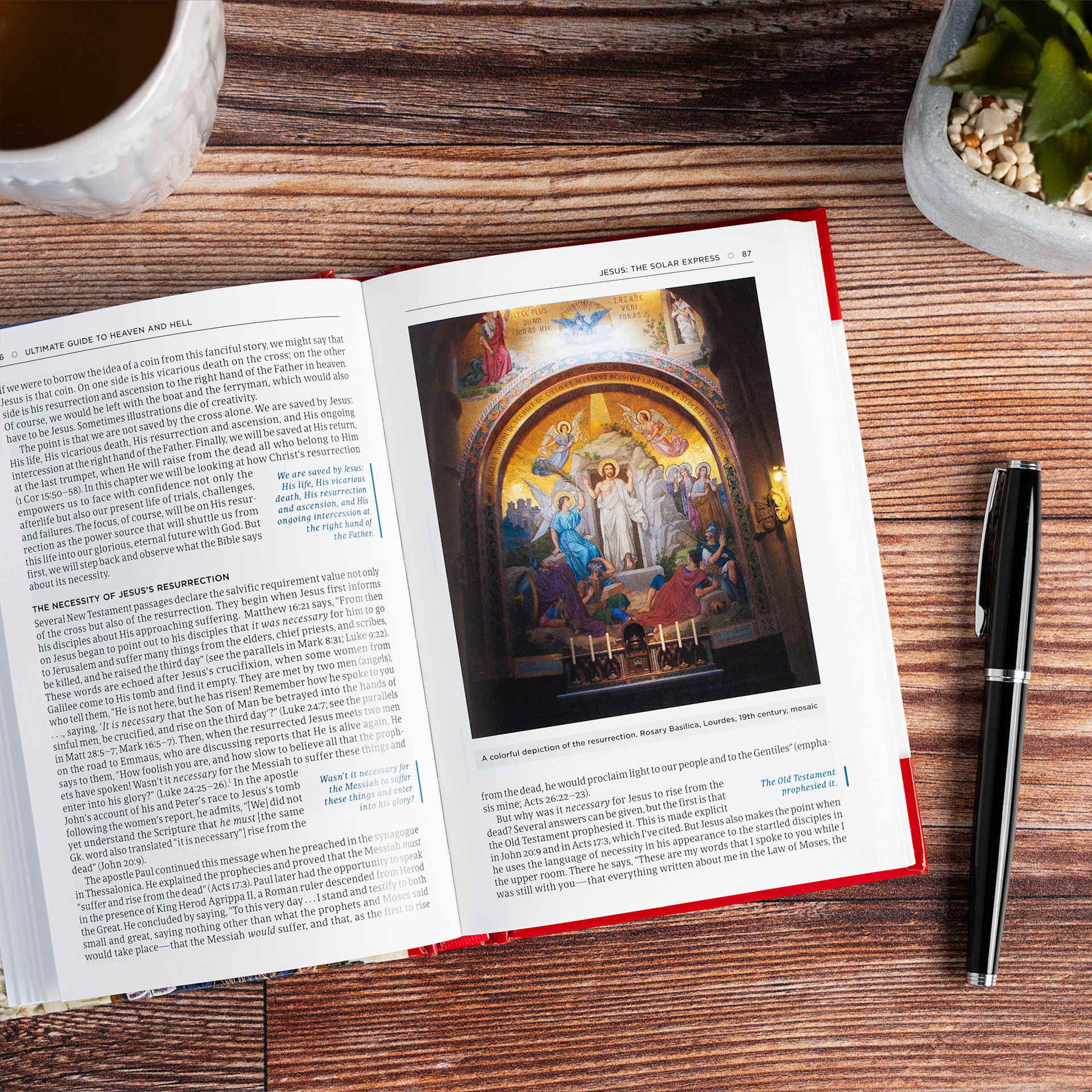 product display 6 for undefined