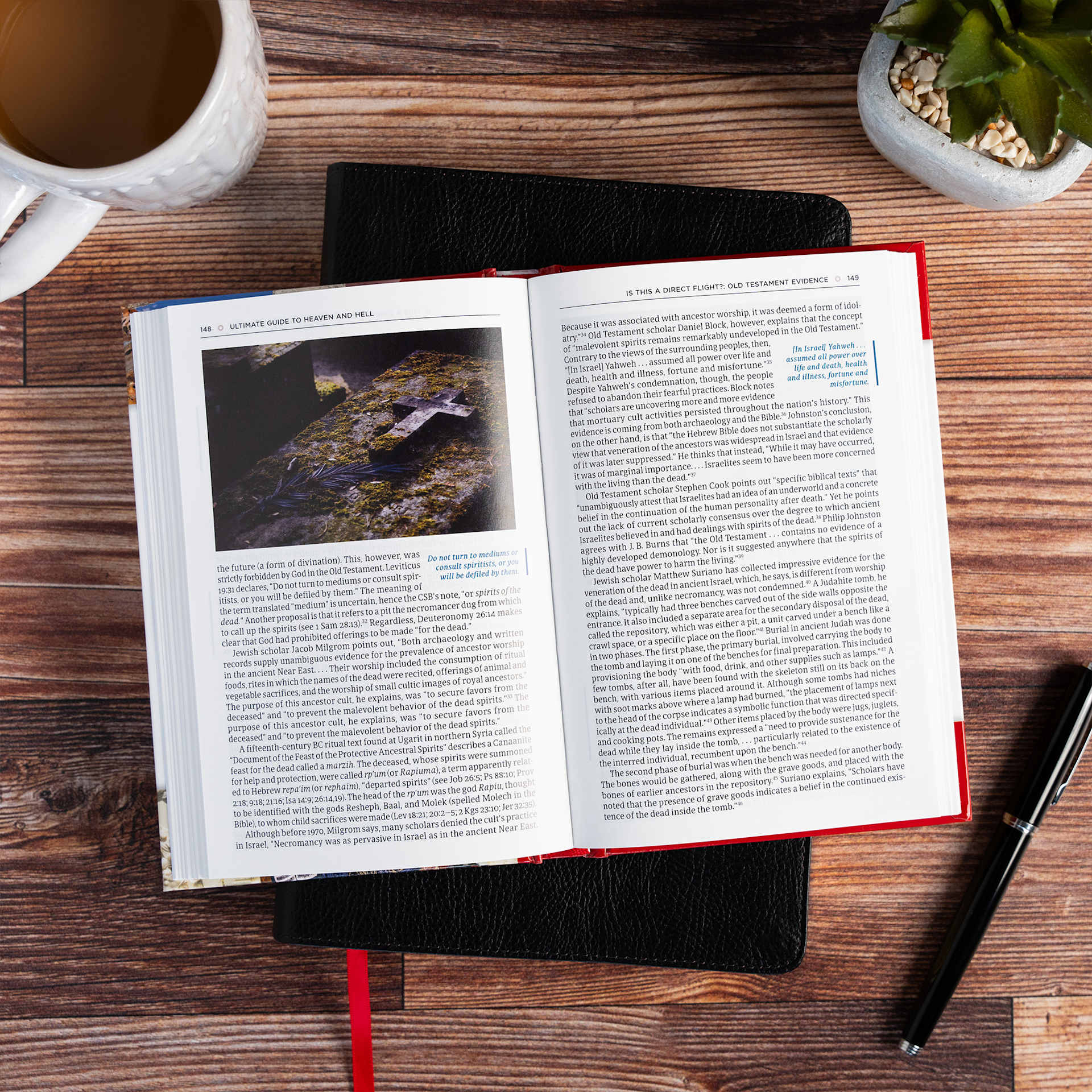 product display 7 for undefined