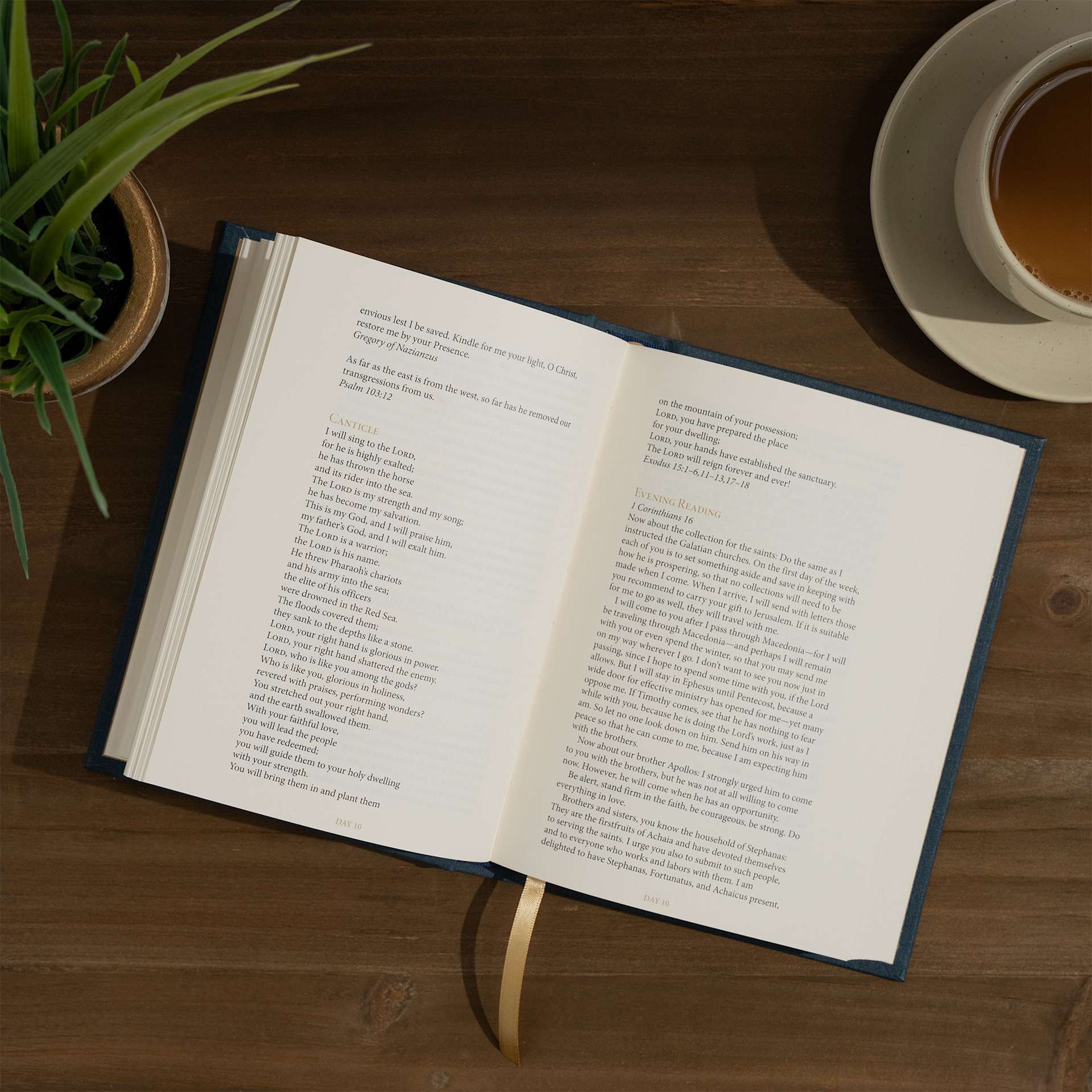 product display 4 for undefined