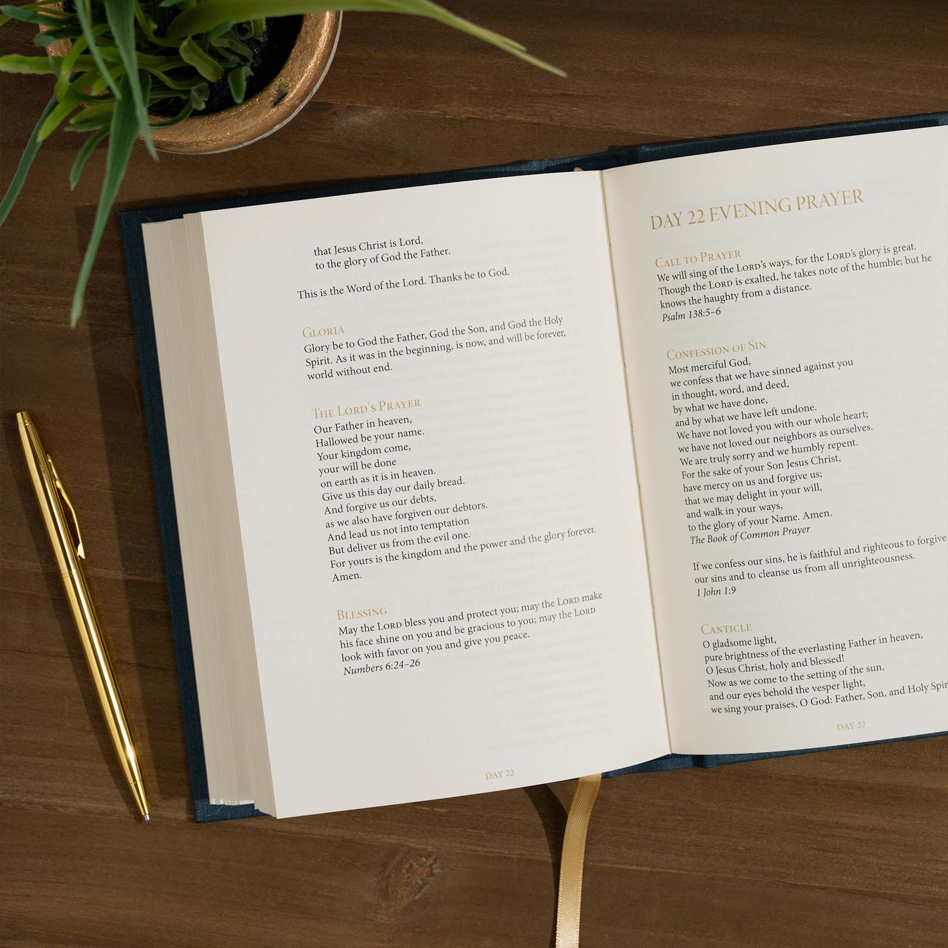 product display 6 for undefined