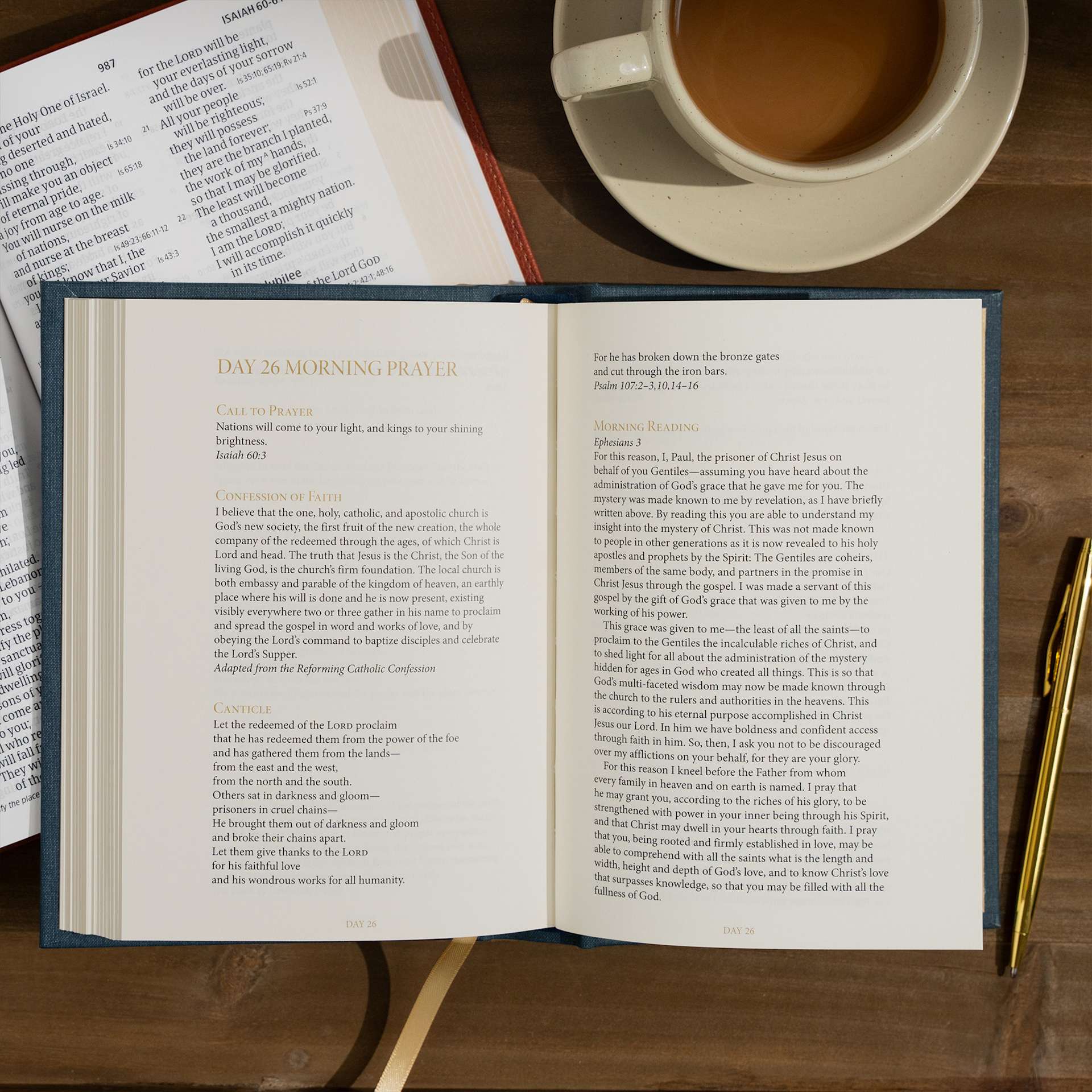 product display 7 for undefined