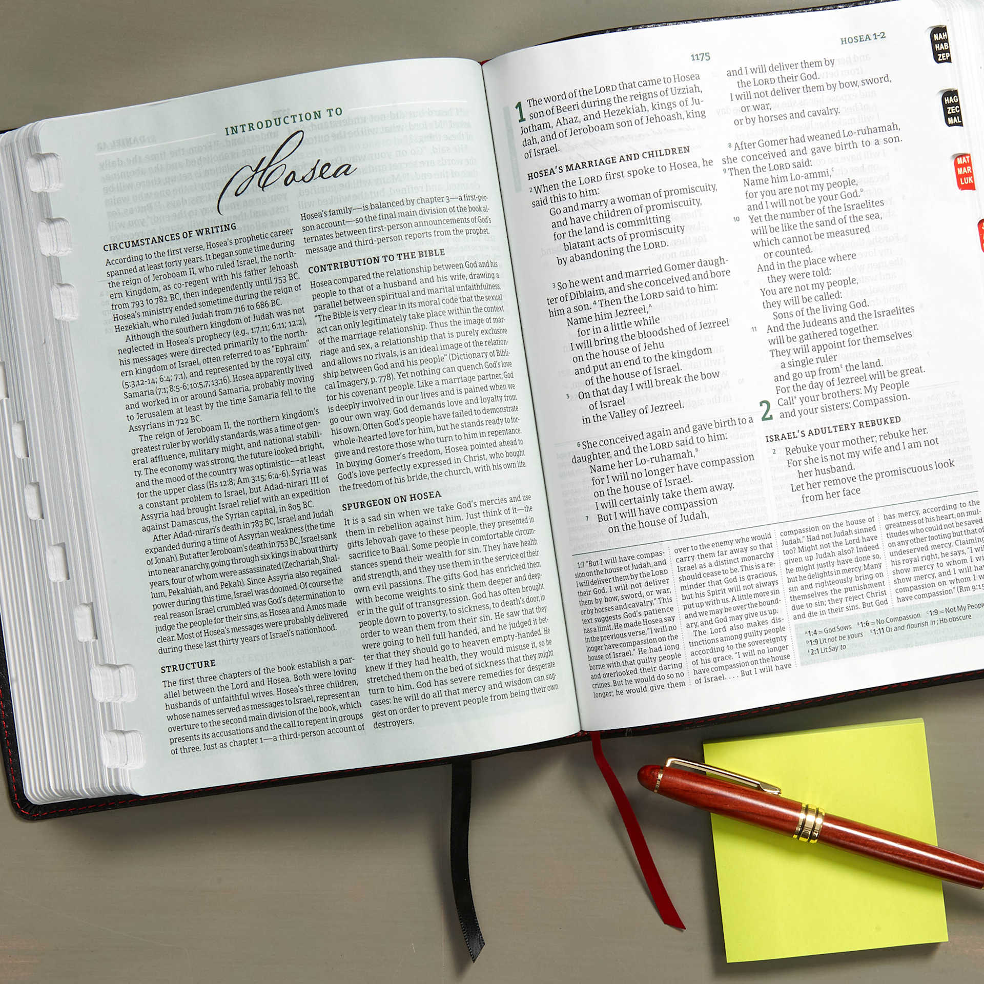 product display 4 for undefined