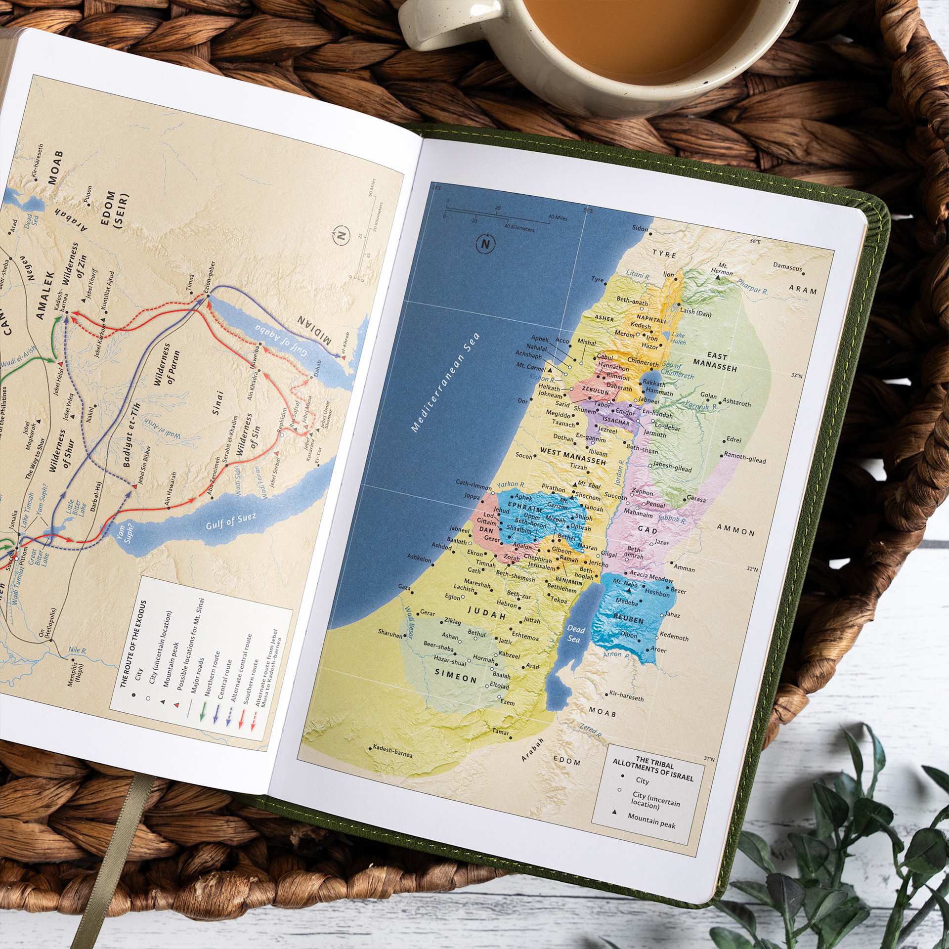 product display 8 for undefined