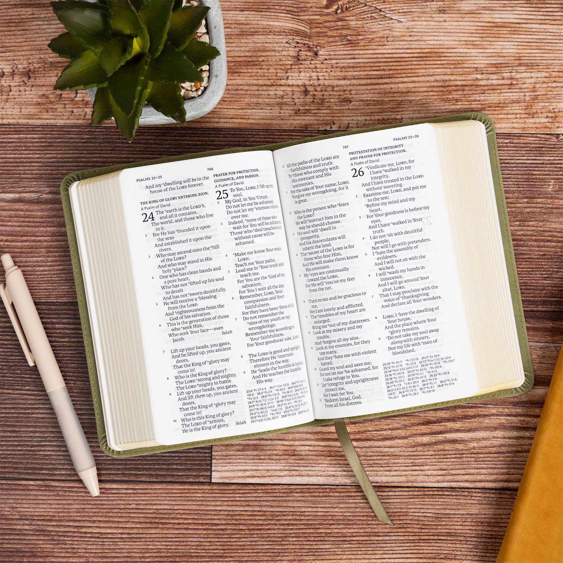 product display 5 for undefined