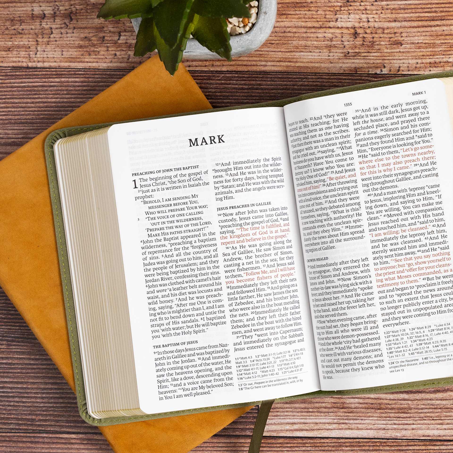 product display 6 for undefined