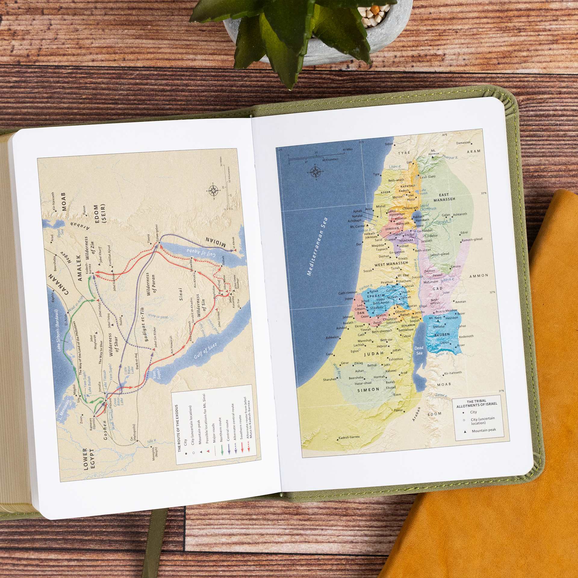 product display 8 for undefined