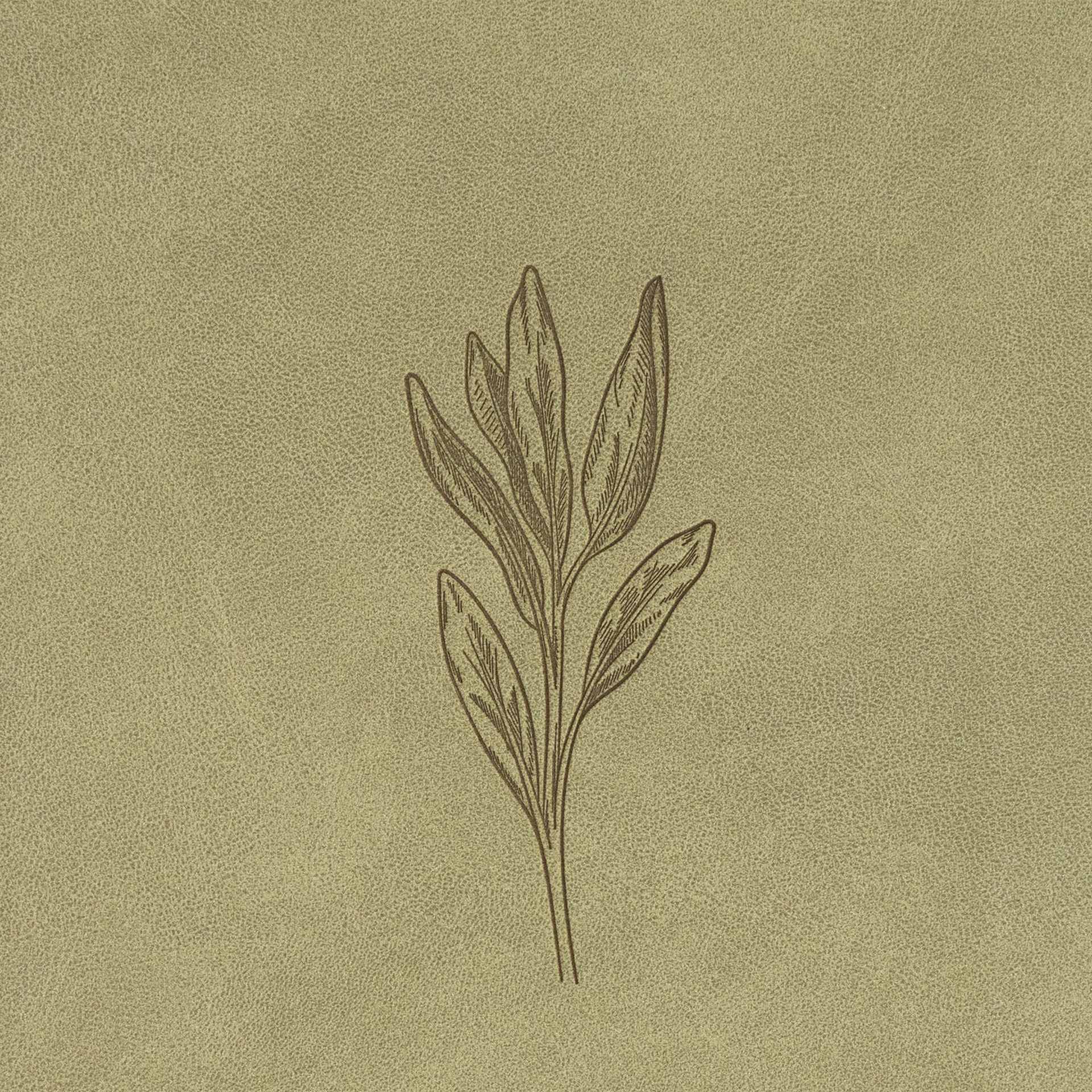 product display 10 for undefined