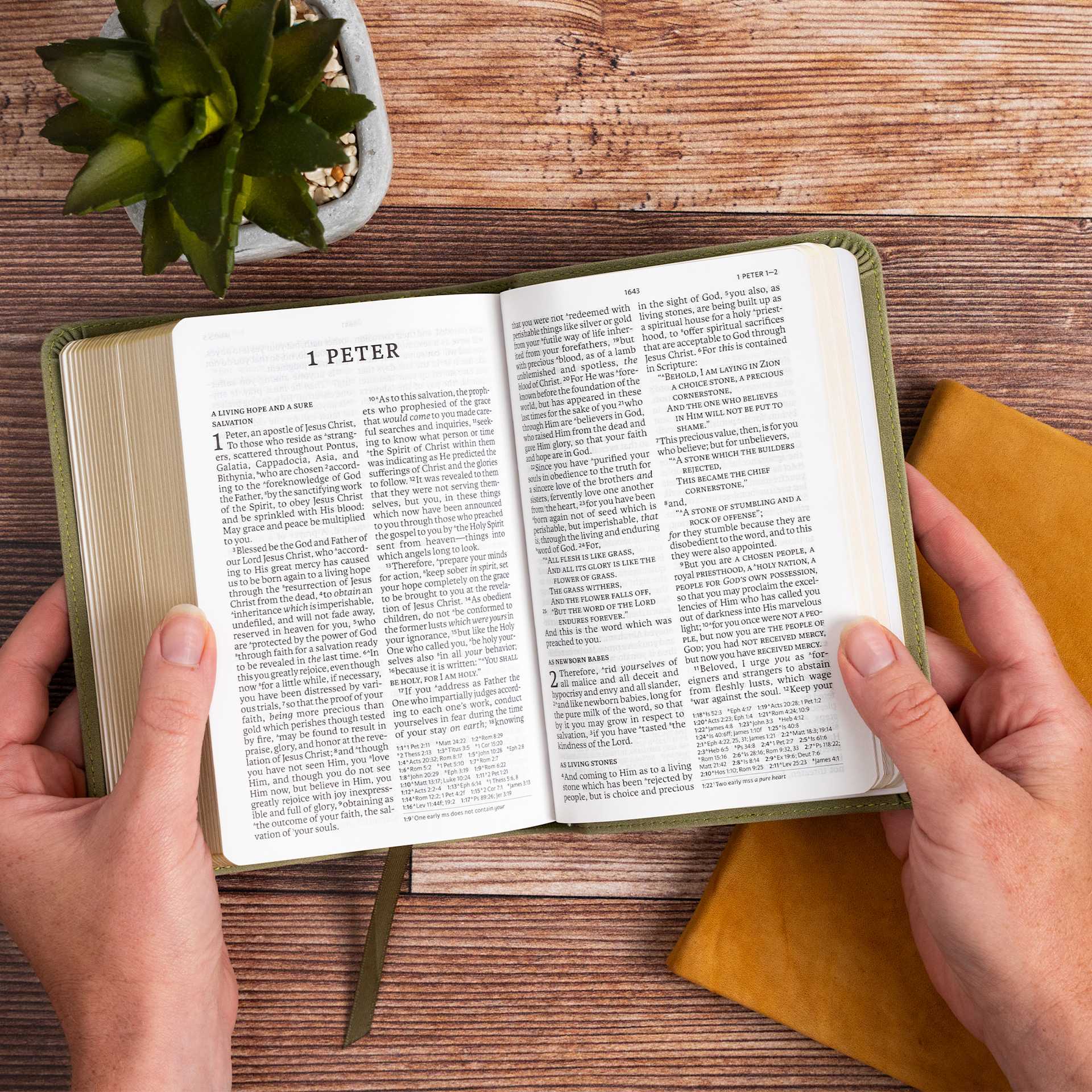 product display 12 for undefined