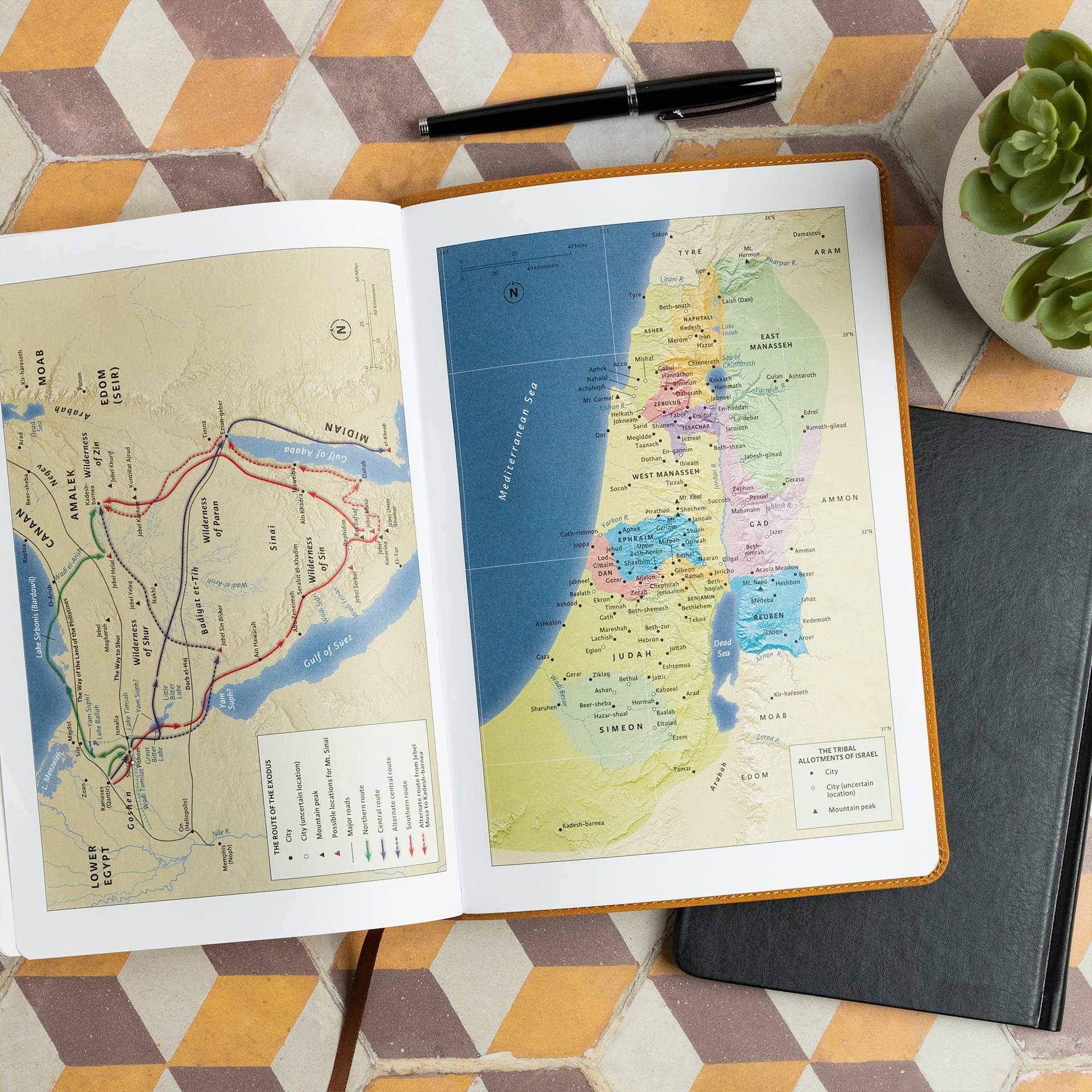 Pantalla del producto 8 para undefined