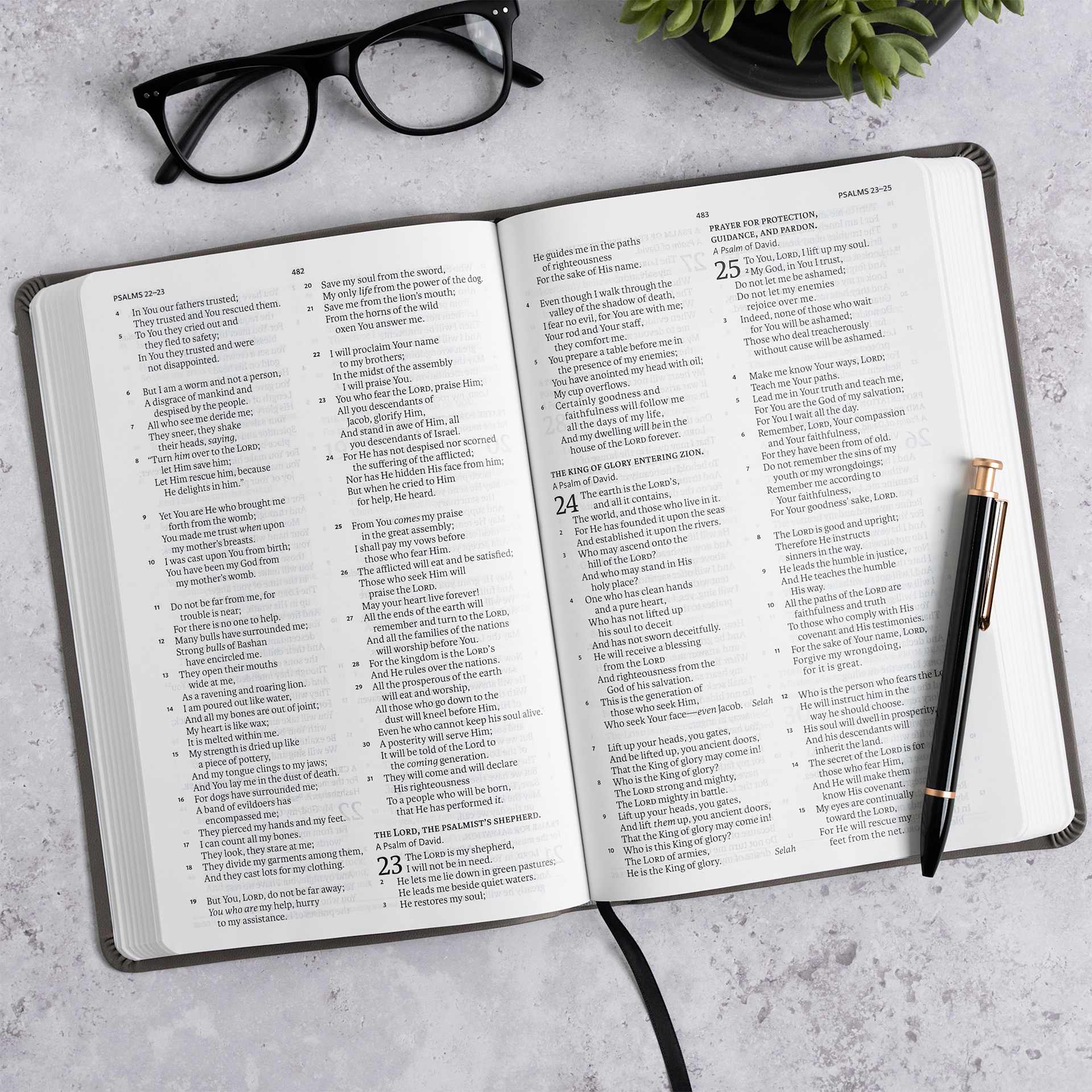 product display 4 for undefined