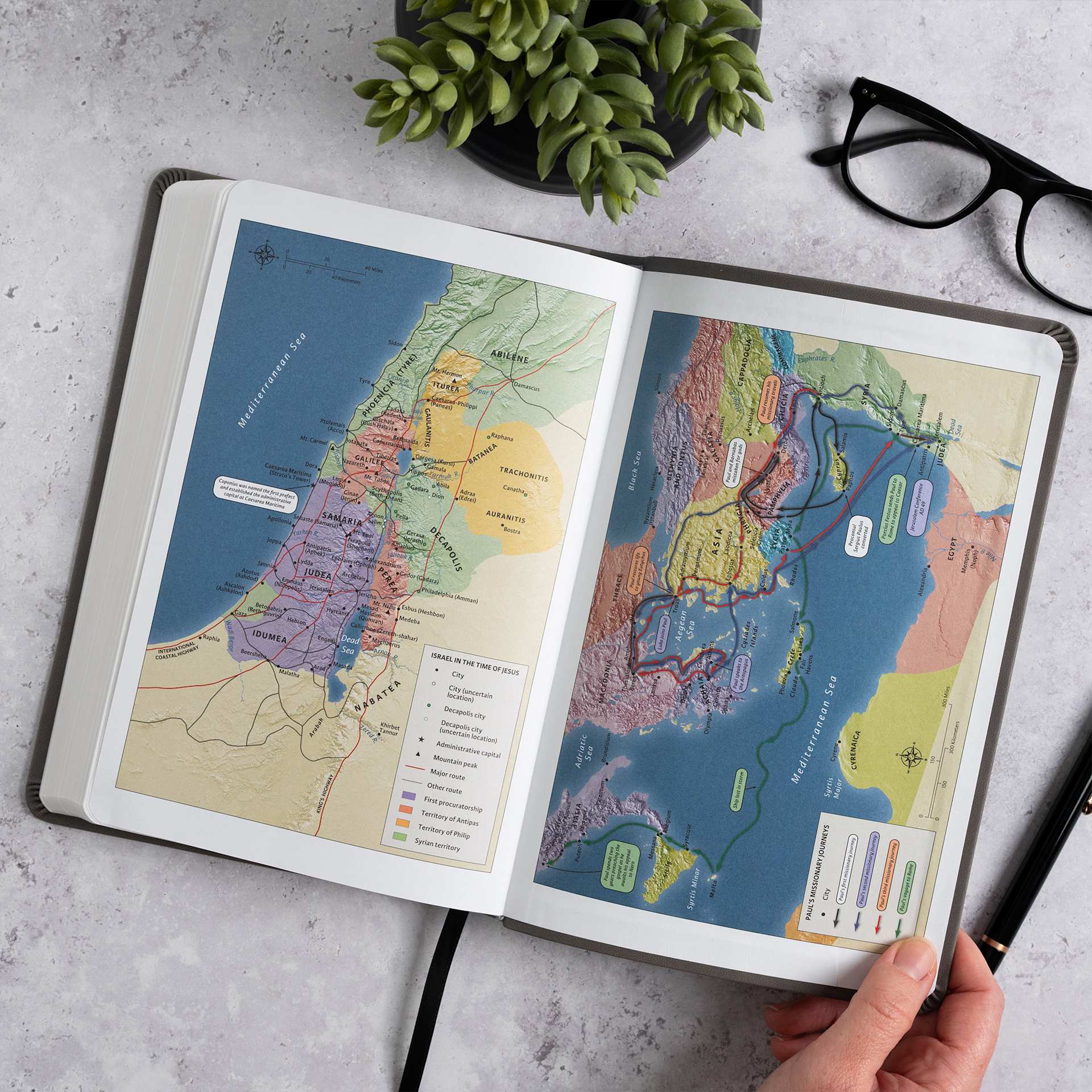 product display 7 for undefined