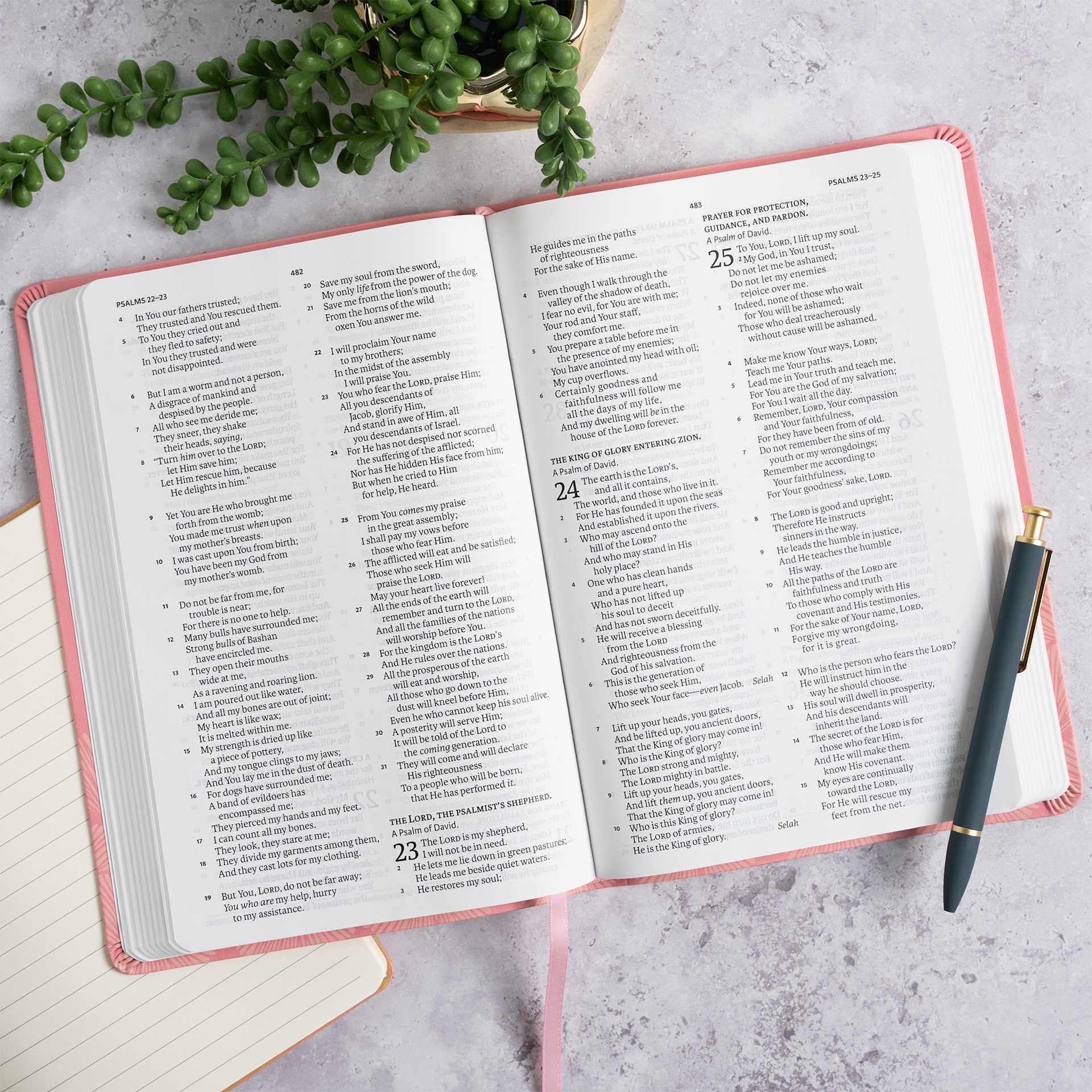 product display 4 for undefined