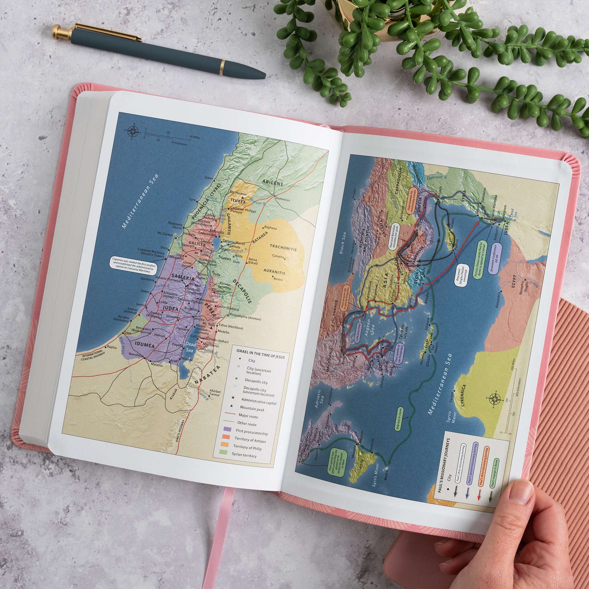 product display 7 for undefined