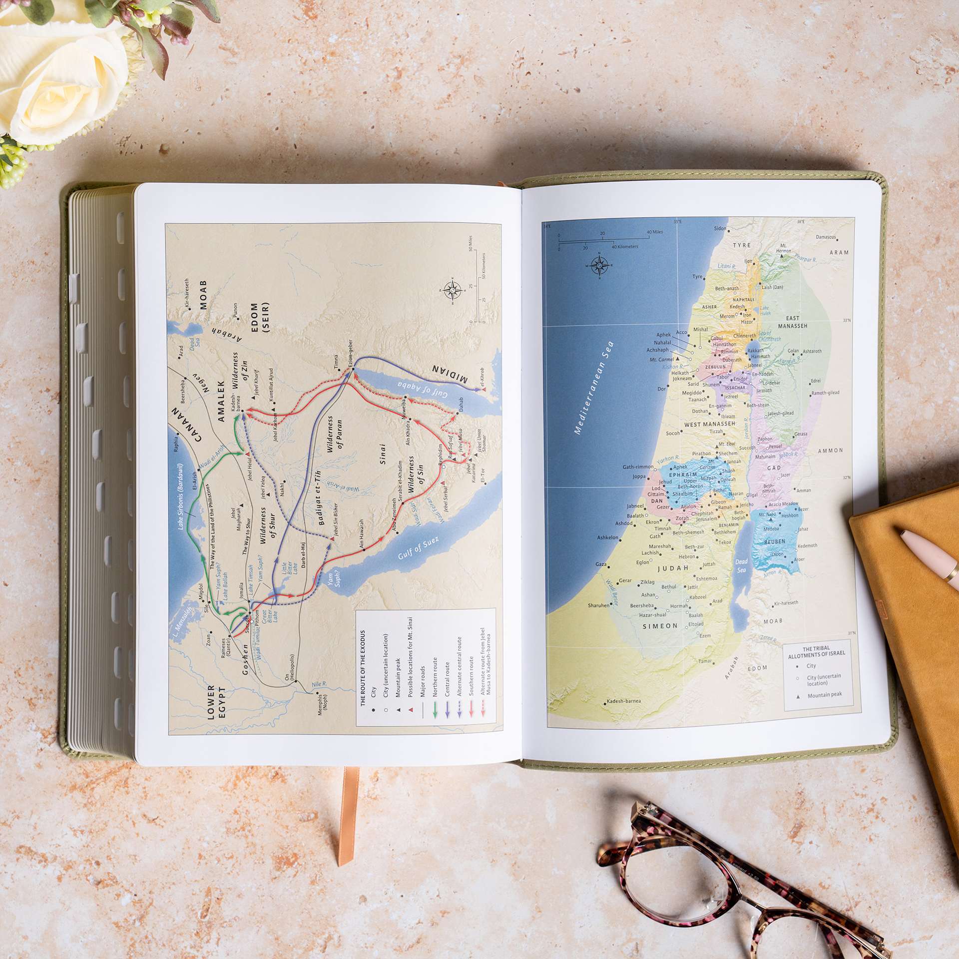 product display 7 for undefined