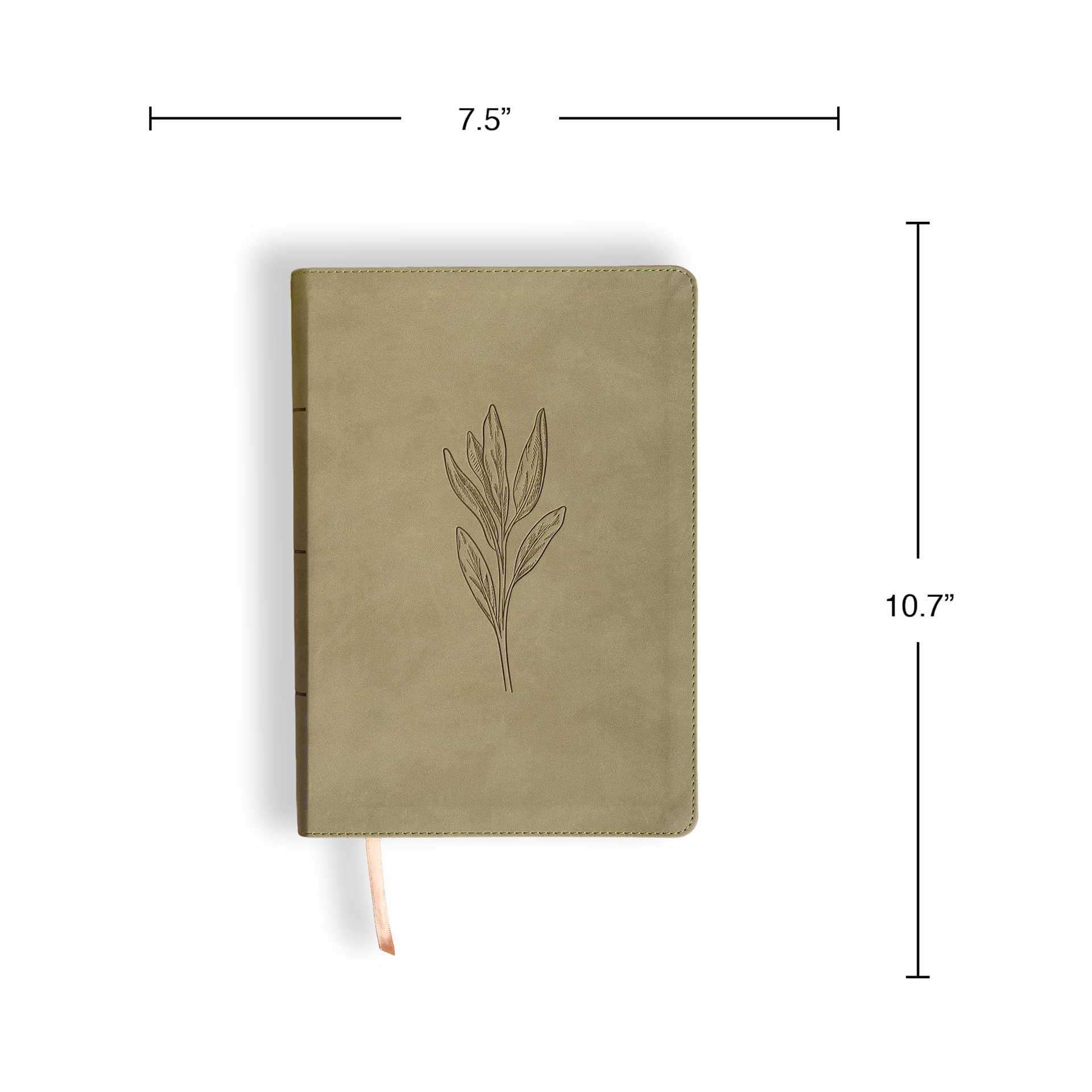 product display 8 for undefined