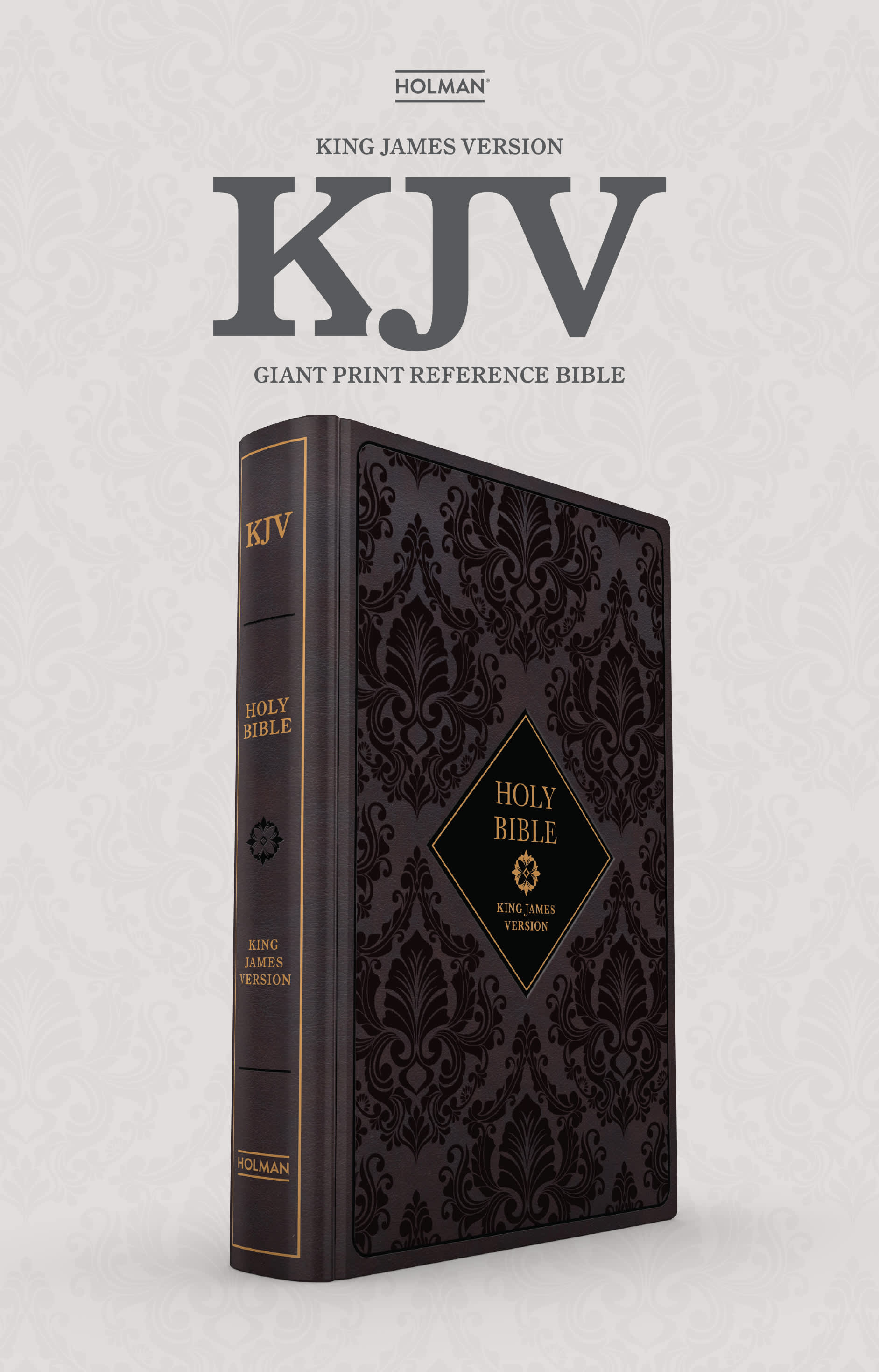 raw vision #22〜29 8冊セット KJV Holy Bible, Giant Print with Cross-References, Dark Brown