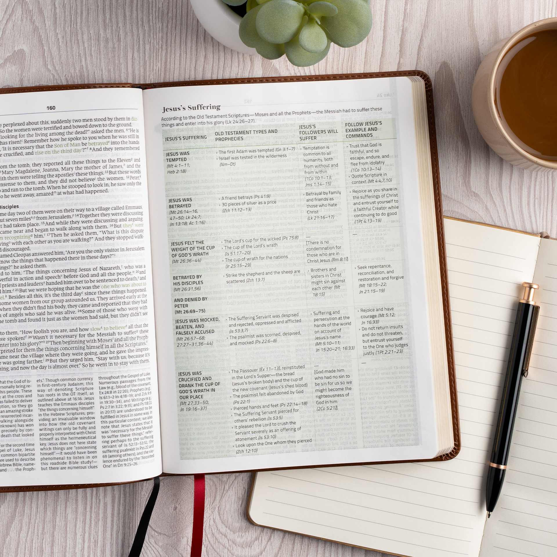 product display 6 for undefined