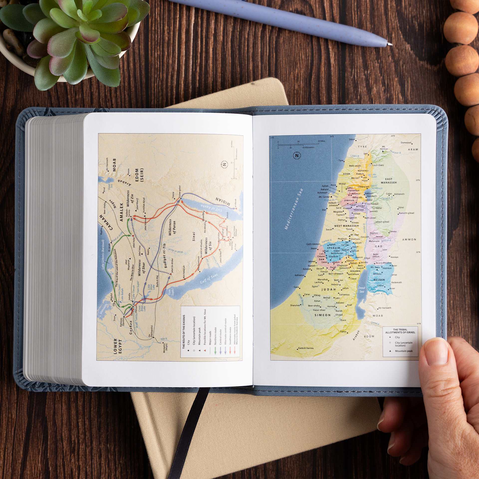 Pantalla del producto 8 para undefined